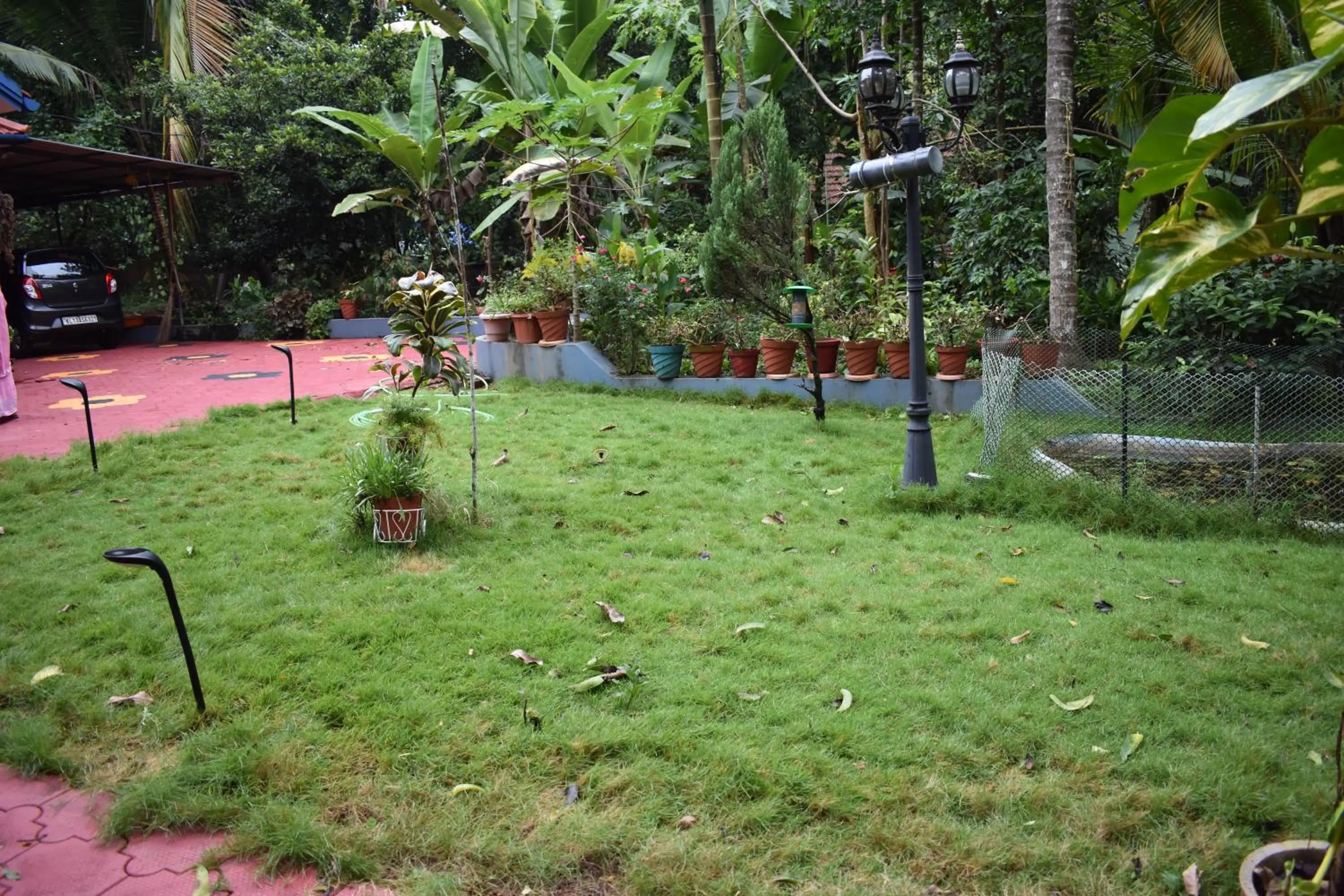 Natural landscape in Ben's Villa Kannur !