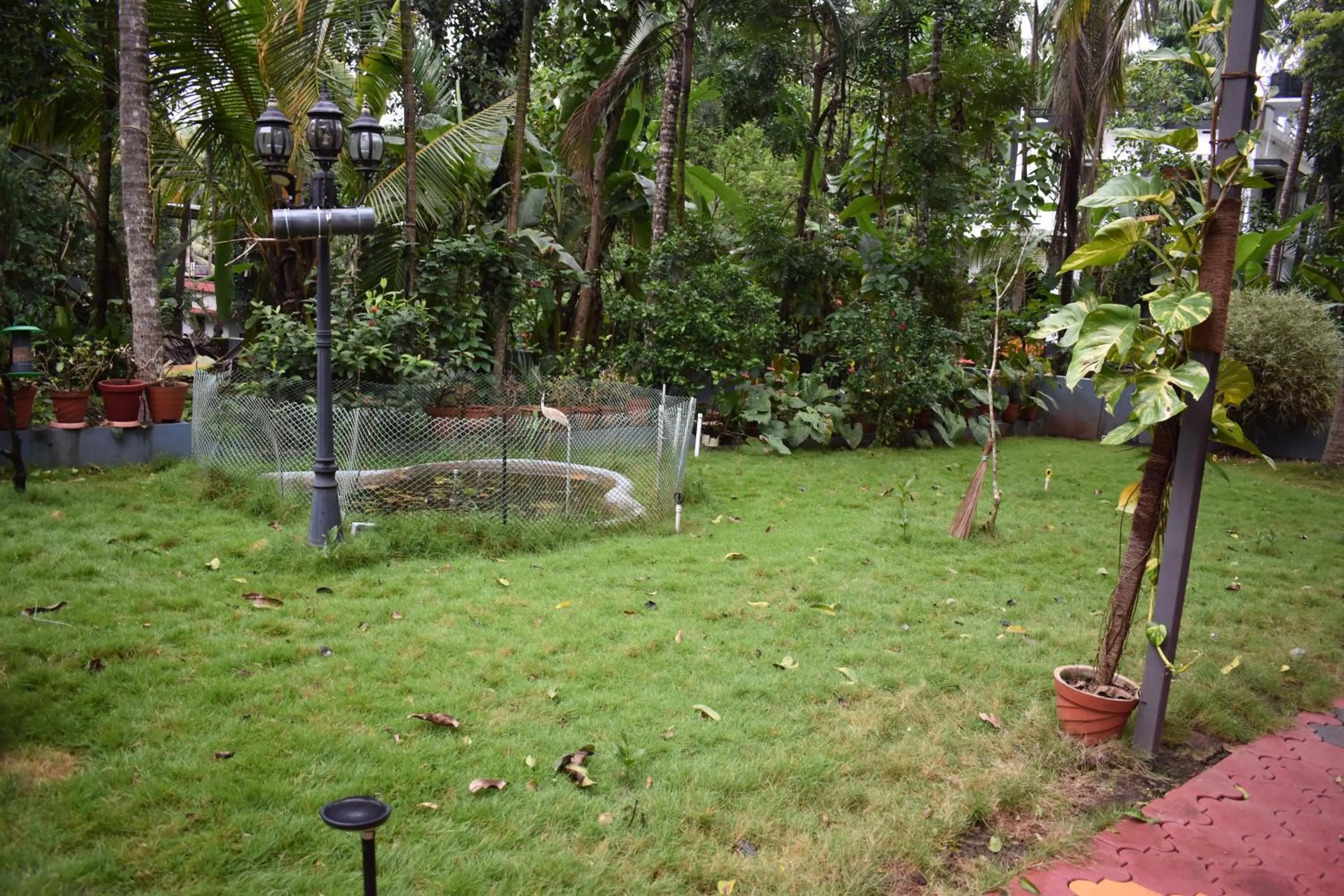 Natural landscape in Ben's Villa Kannur !