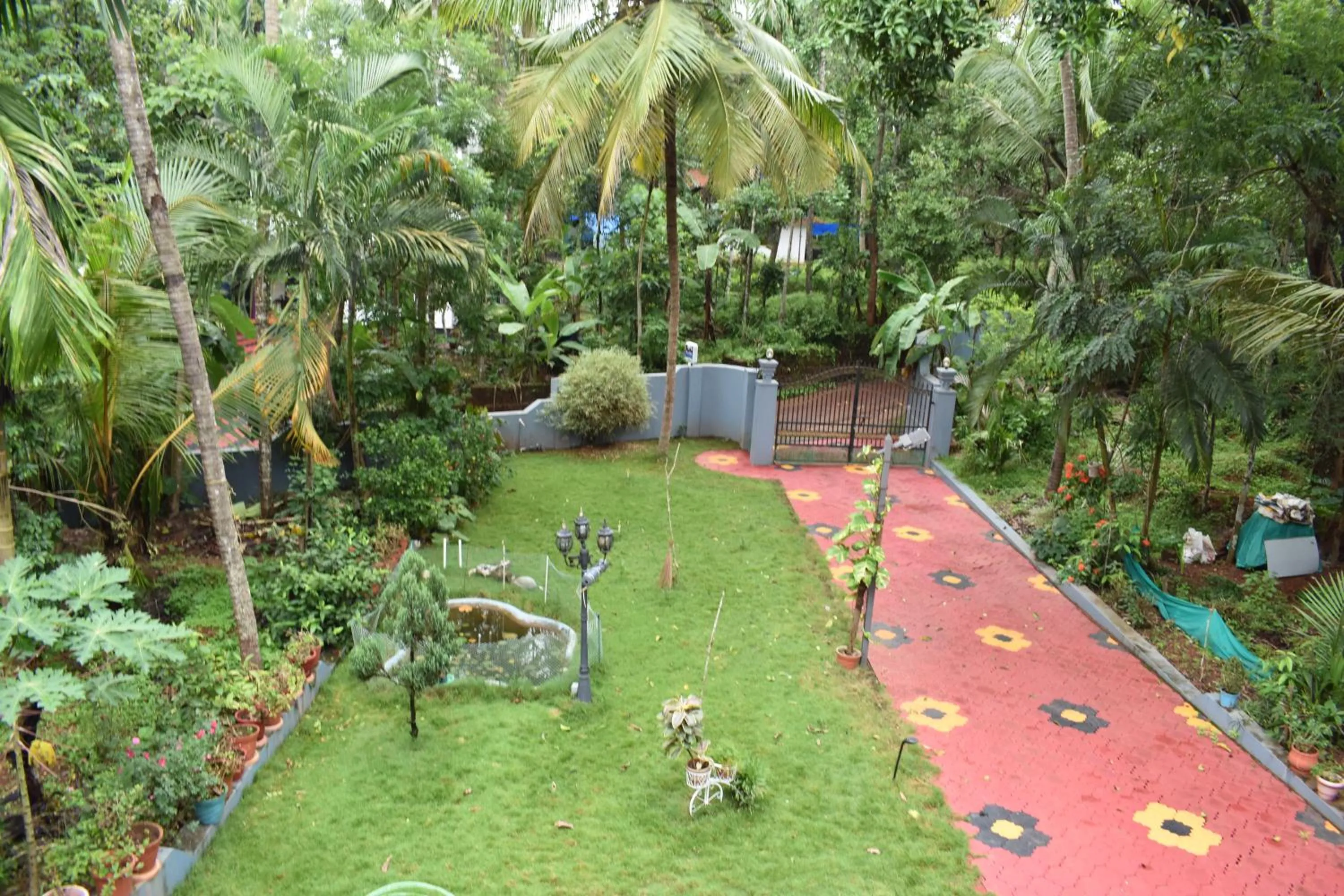 Natural landscape in Ben's Villa Kannur !