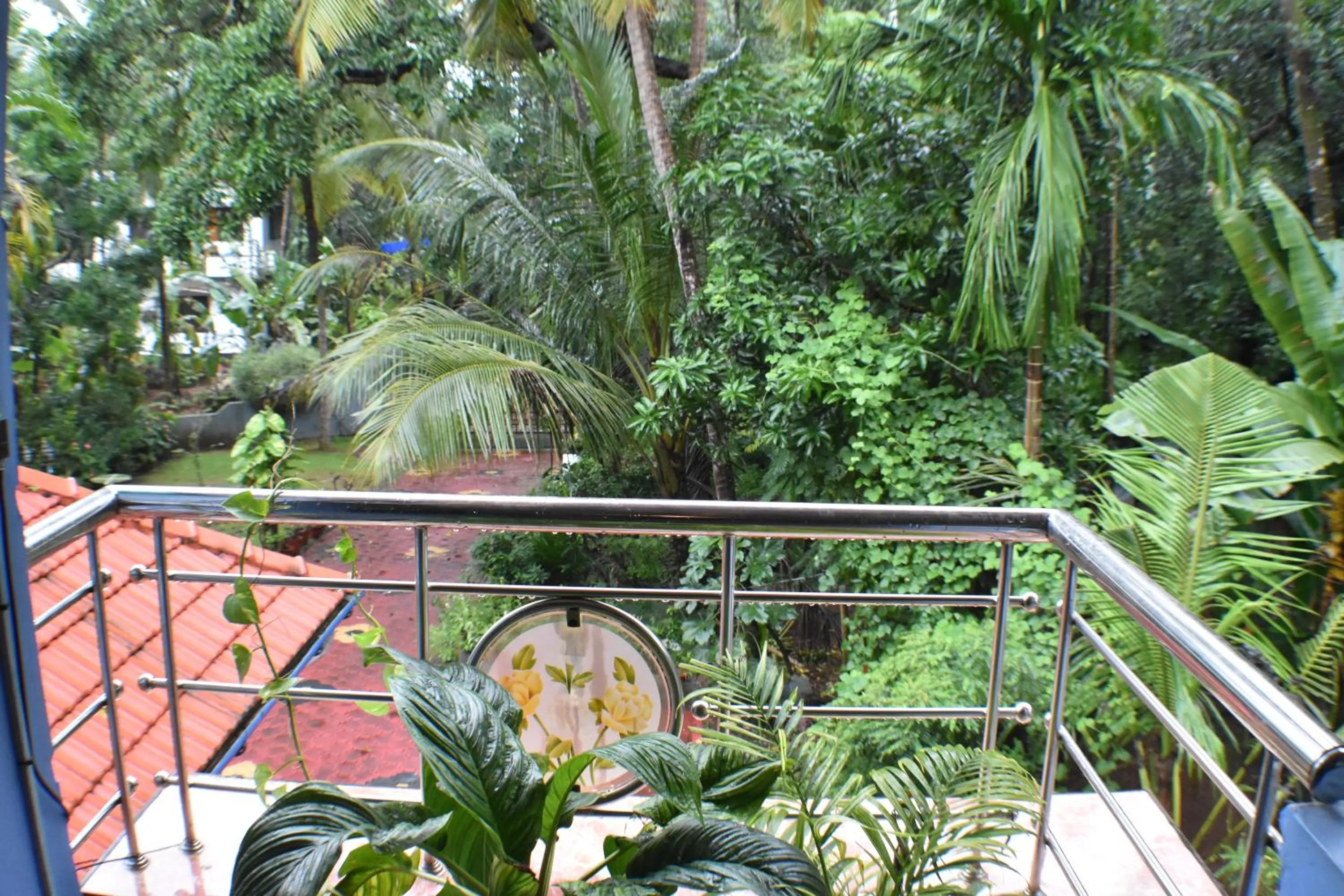 Natural landscape in Ben's Villa Kannur !