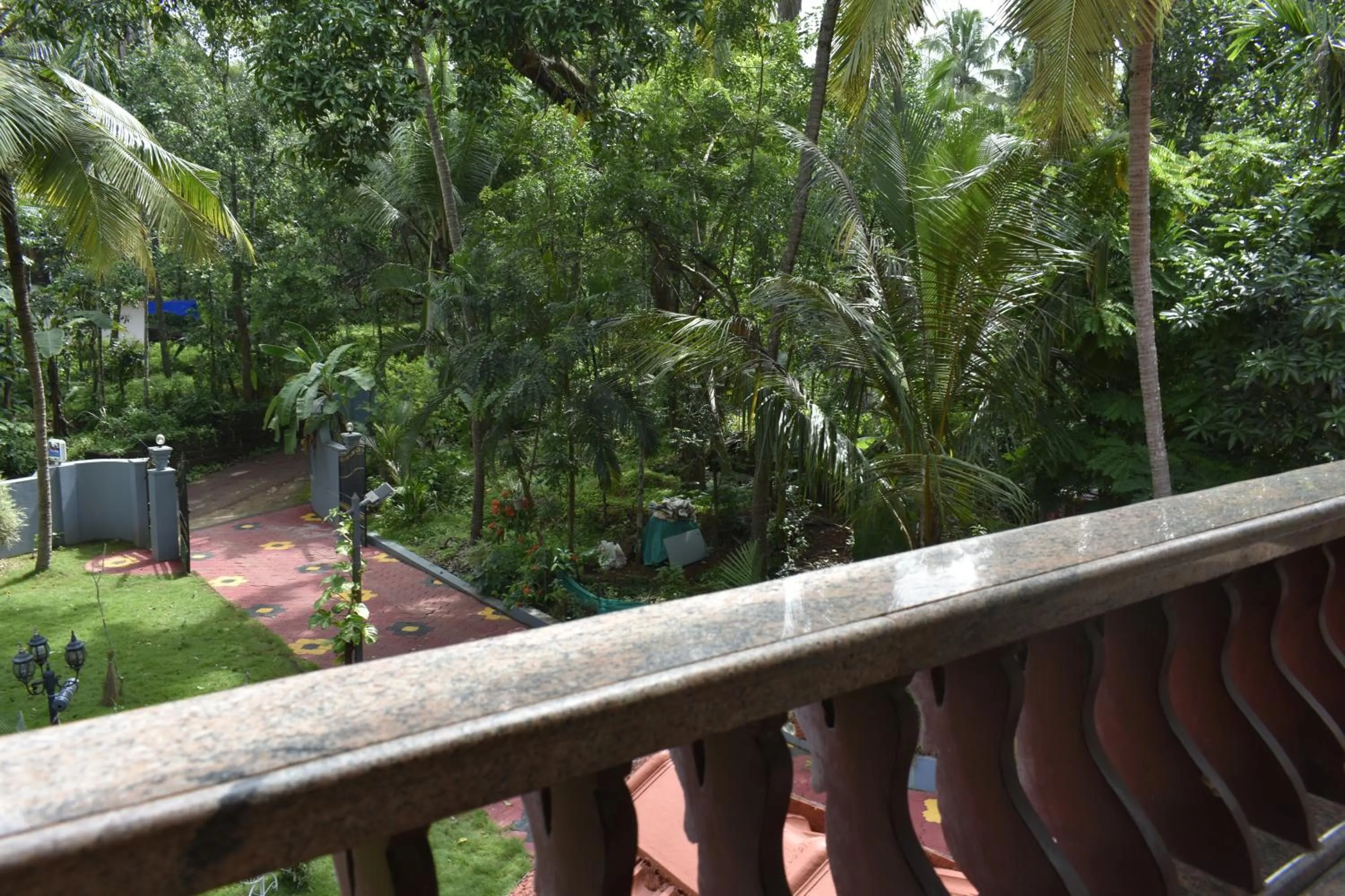 Natural landscape in Ben's Villa Kannur !