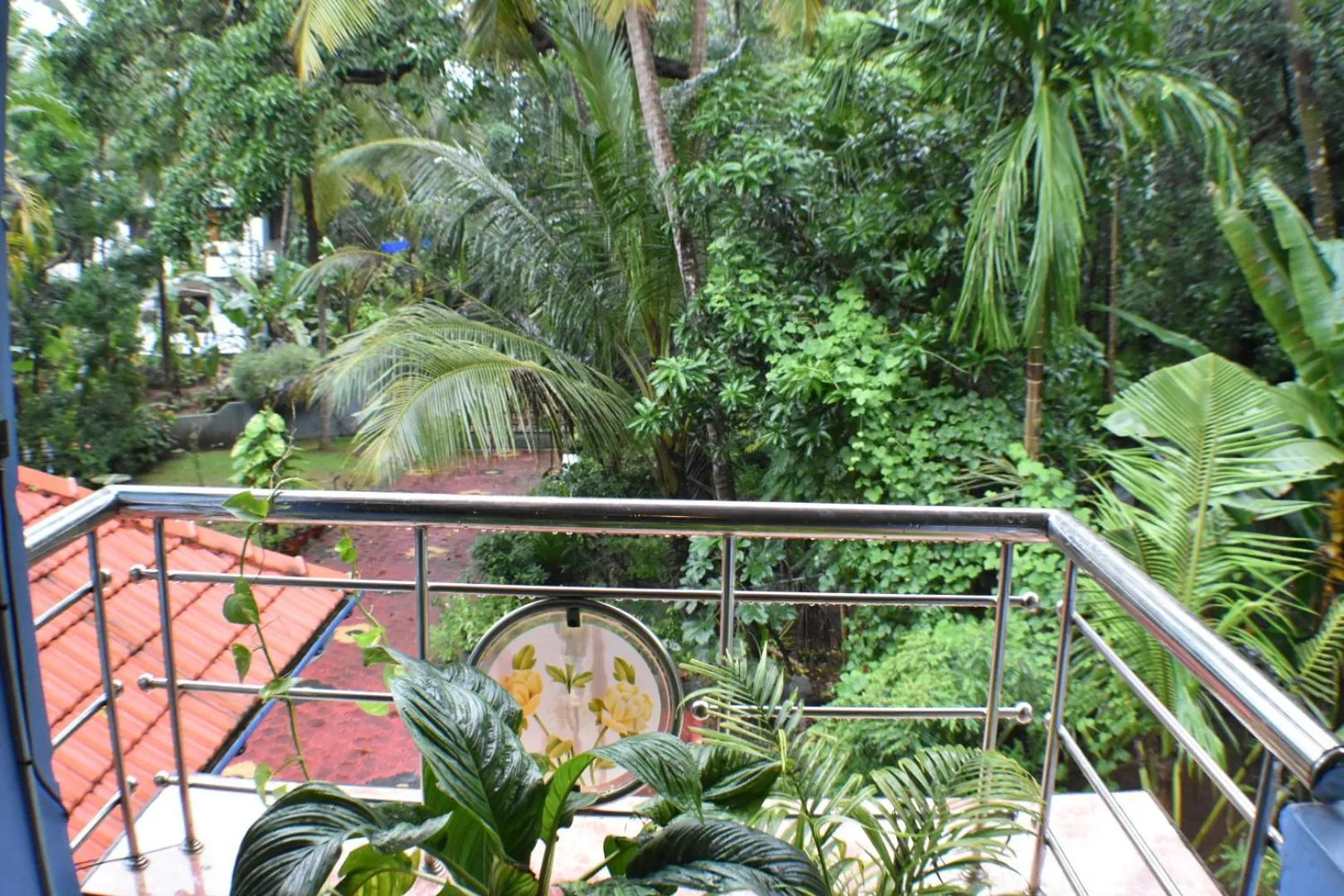 Natural landscape in Ben's Villa Kannur !