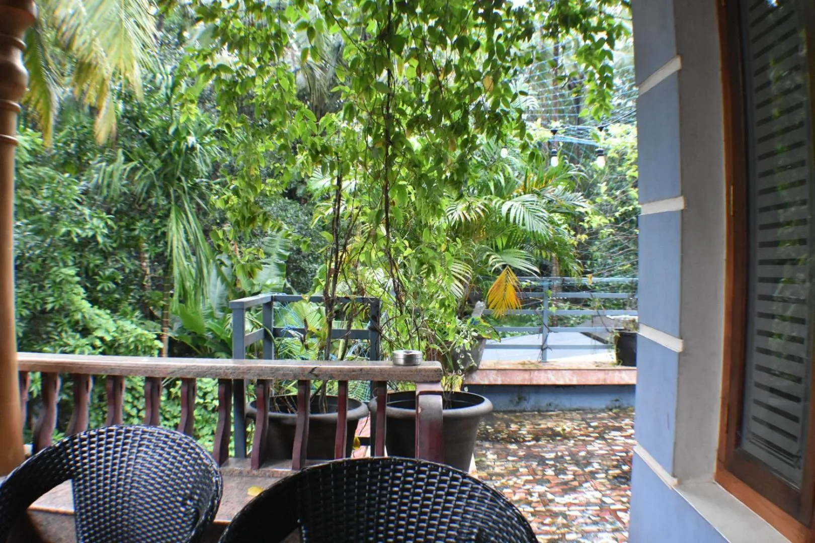 Day in Ben's Villa Kannur !