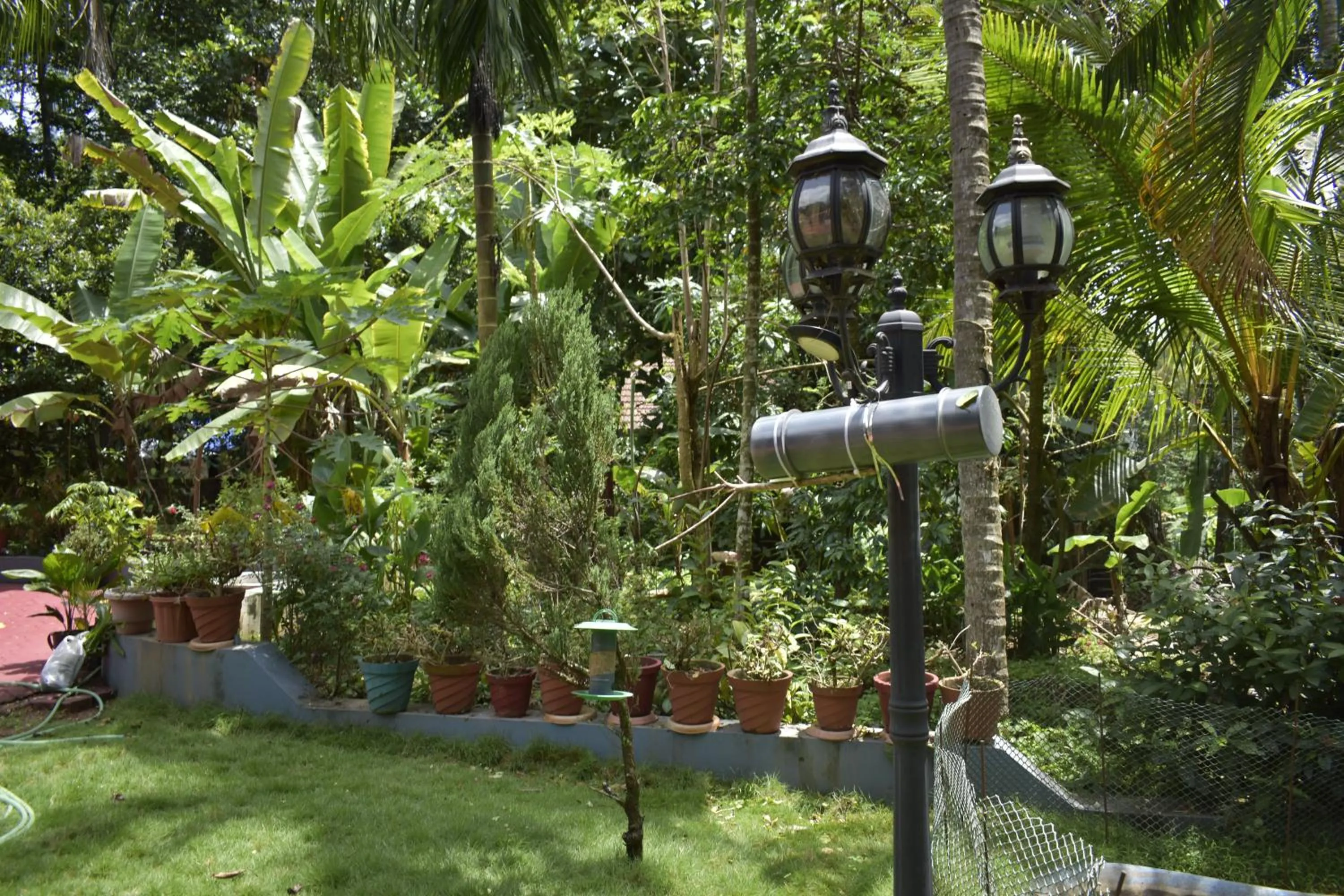 Natural landscape in Ben's Villa Kannur !