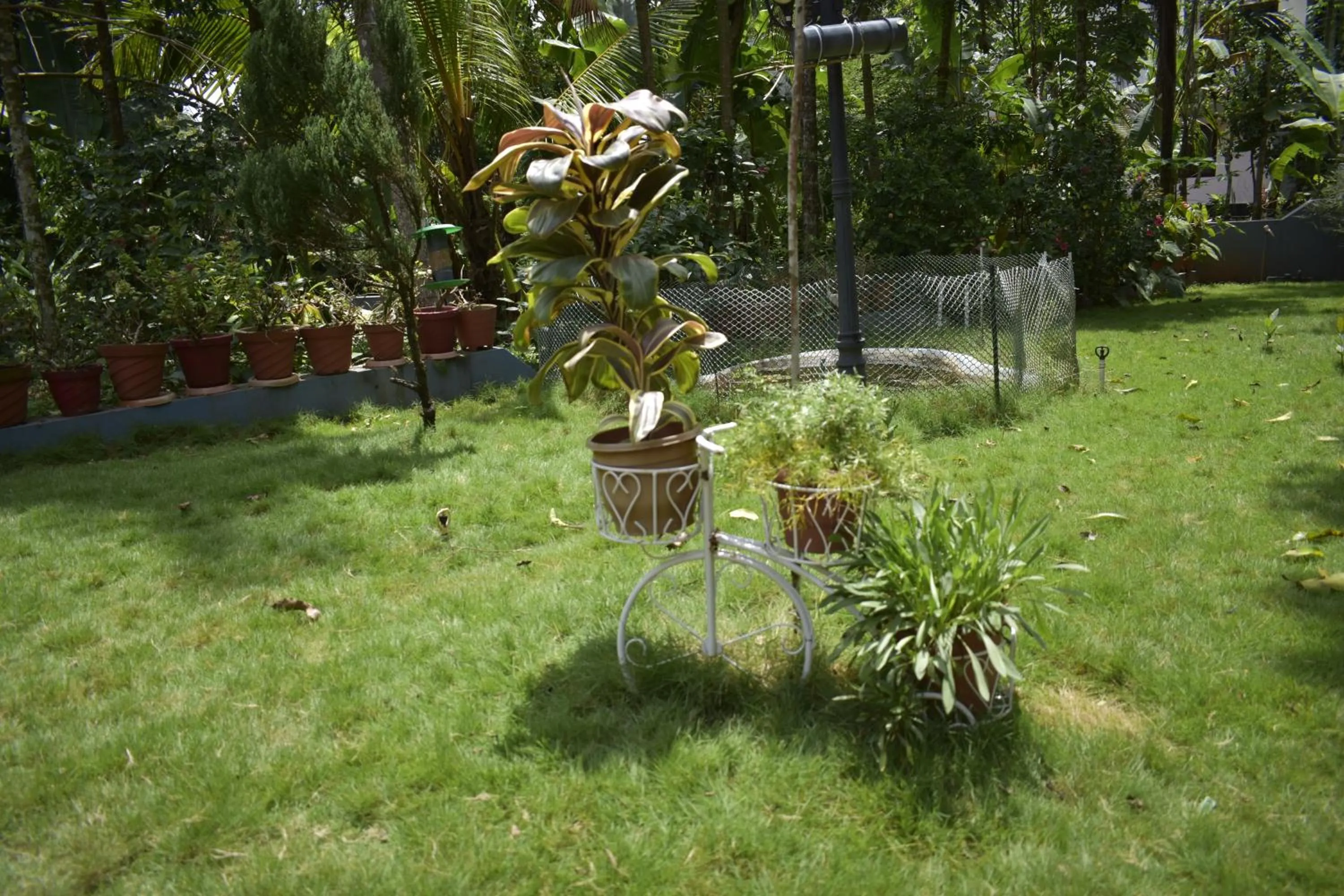 Natural landscape in Ben's Villa Kannur !