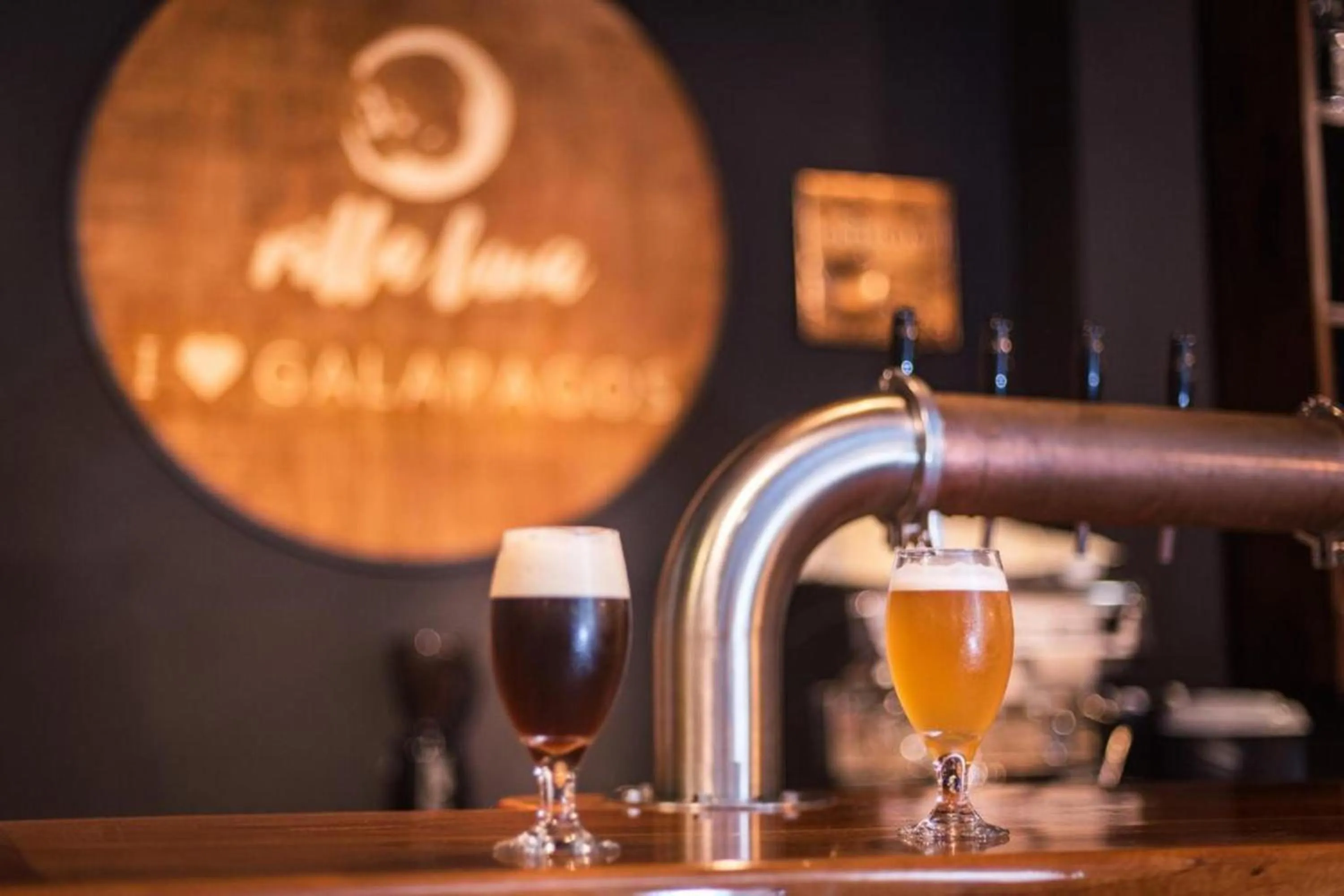 Property logo or sign in Galapagos Native