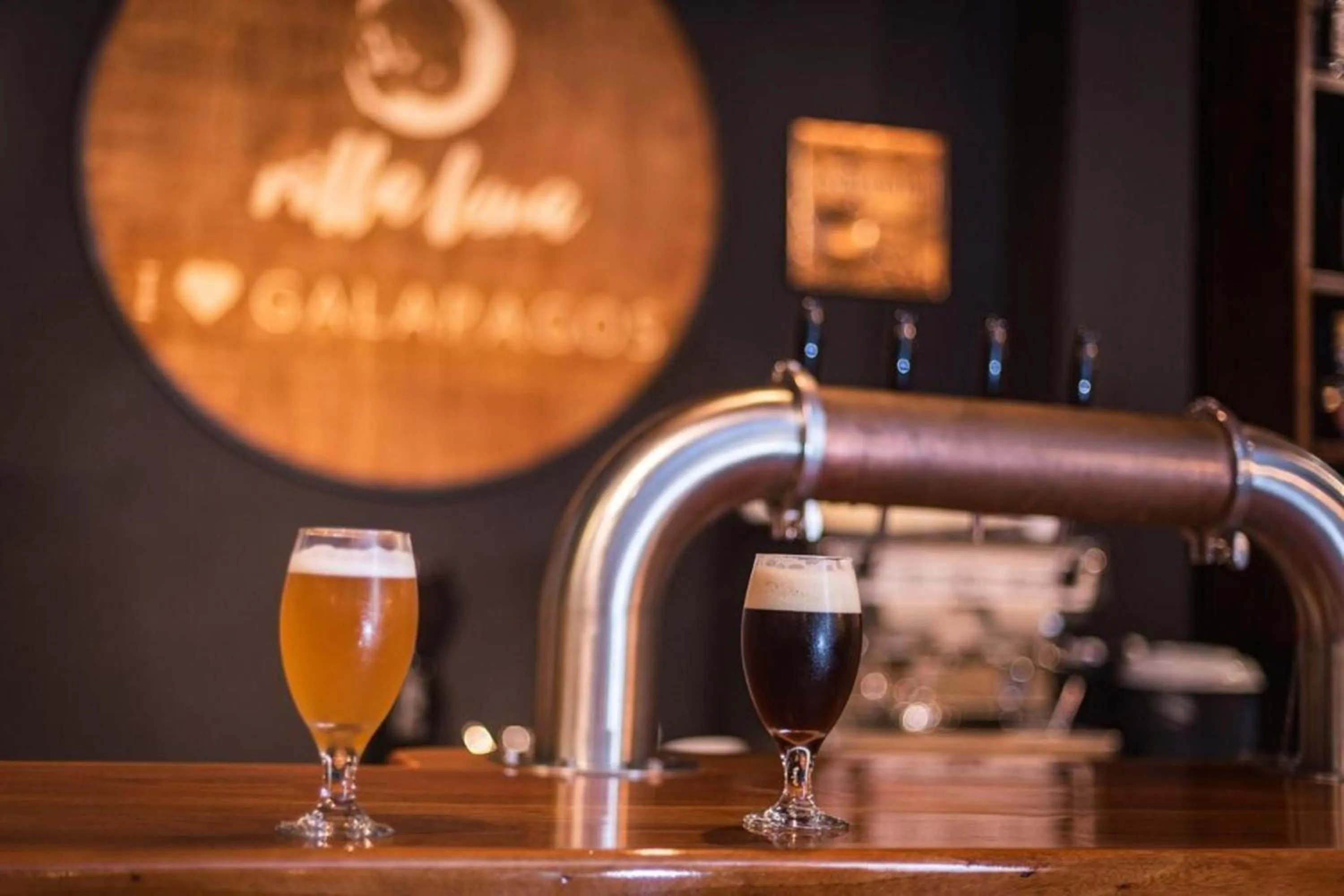 Property logo or sign in Galapagos Native