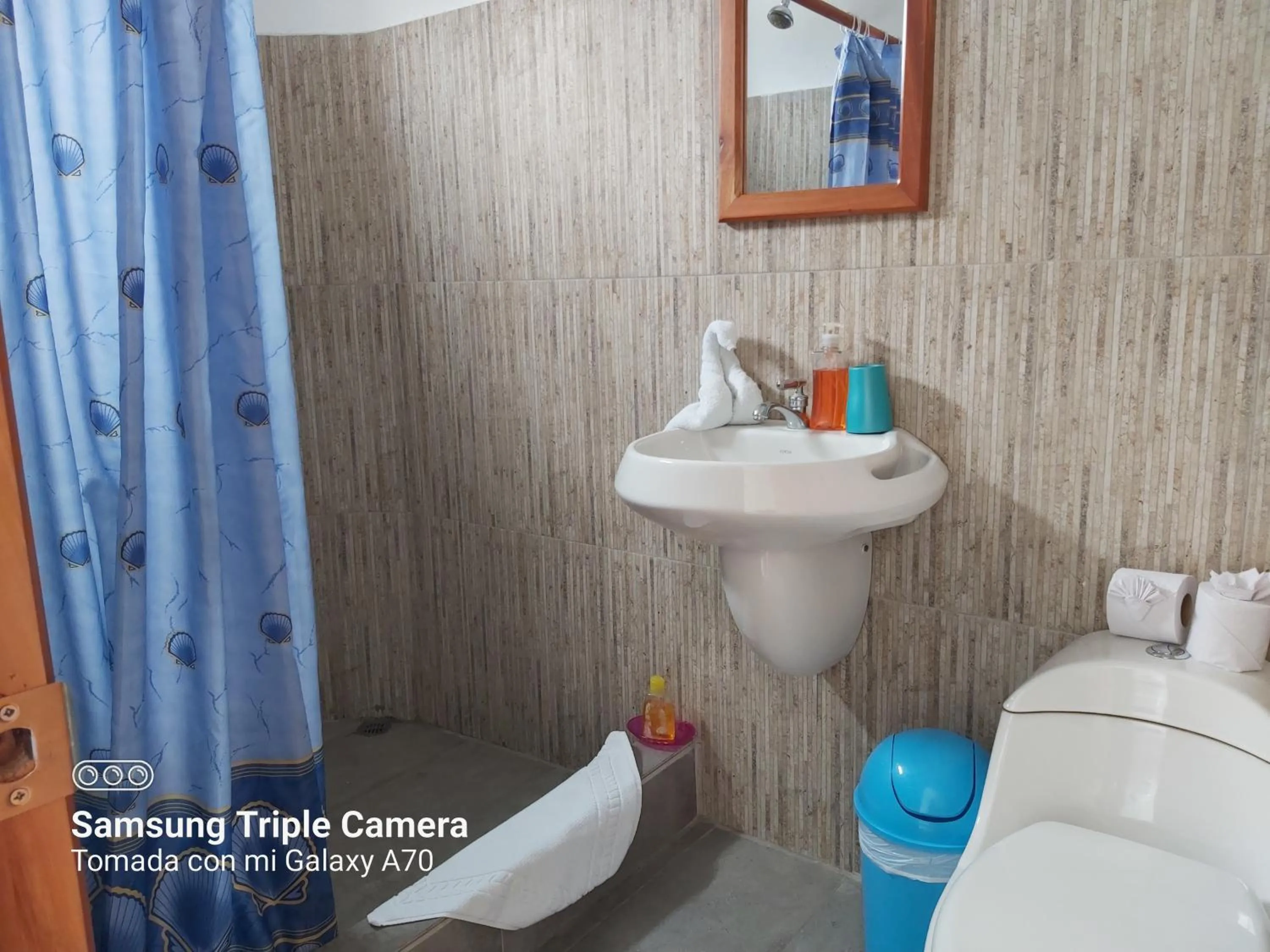 Toilet in Galapagos Native