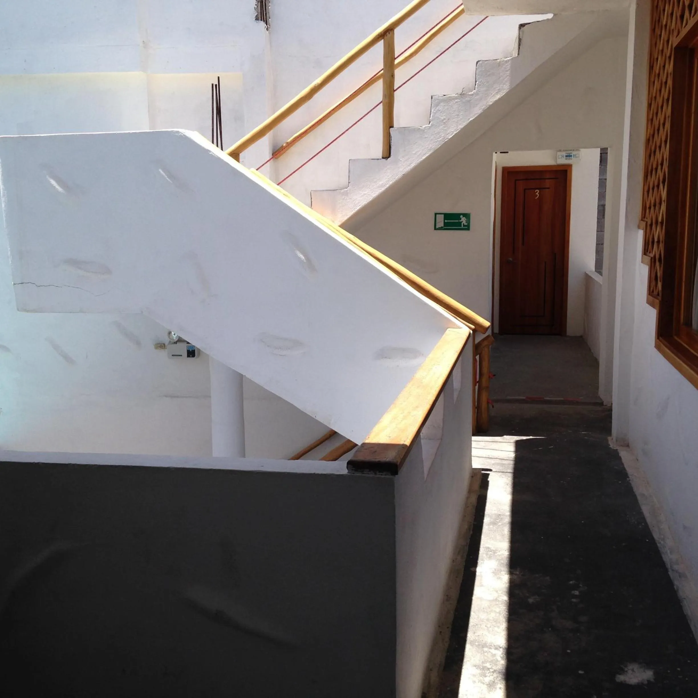 Day in Galapagos Native