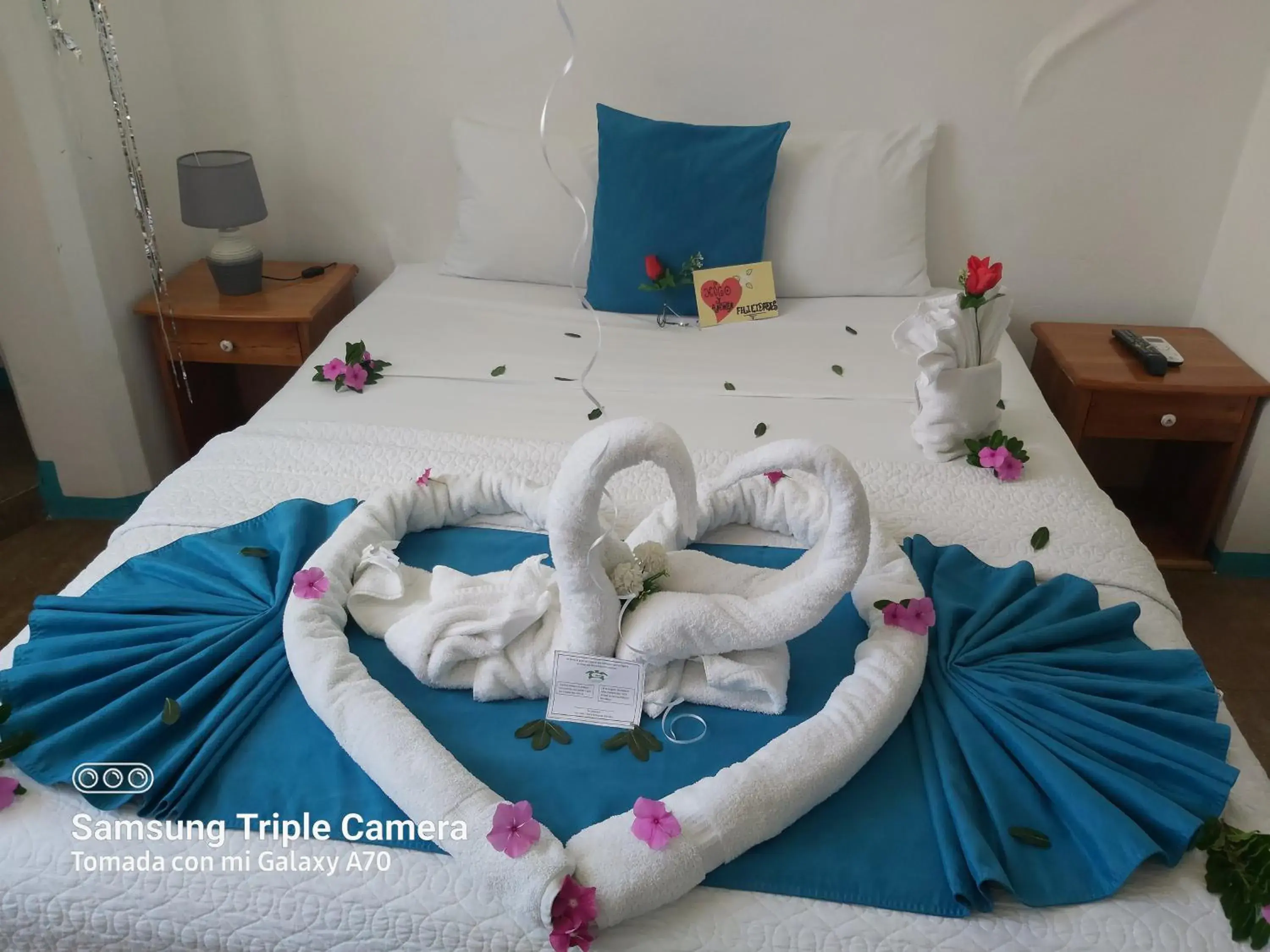 Single Room - single occupancy in Galapagos Native Single Room - single occupancy in Galapagos Native