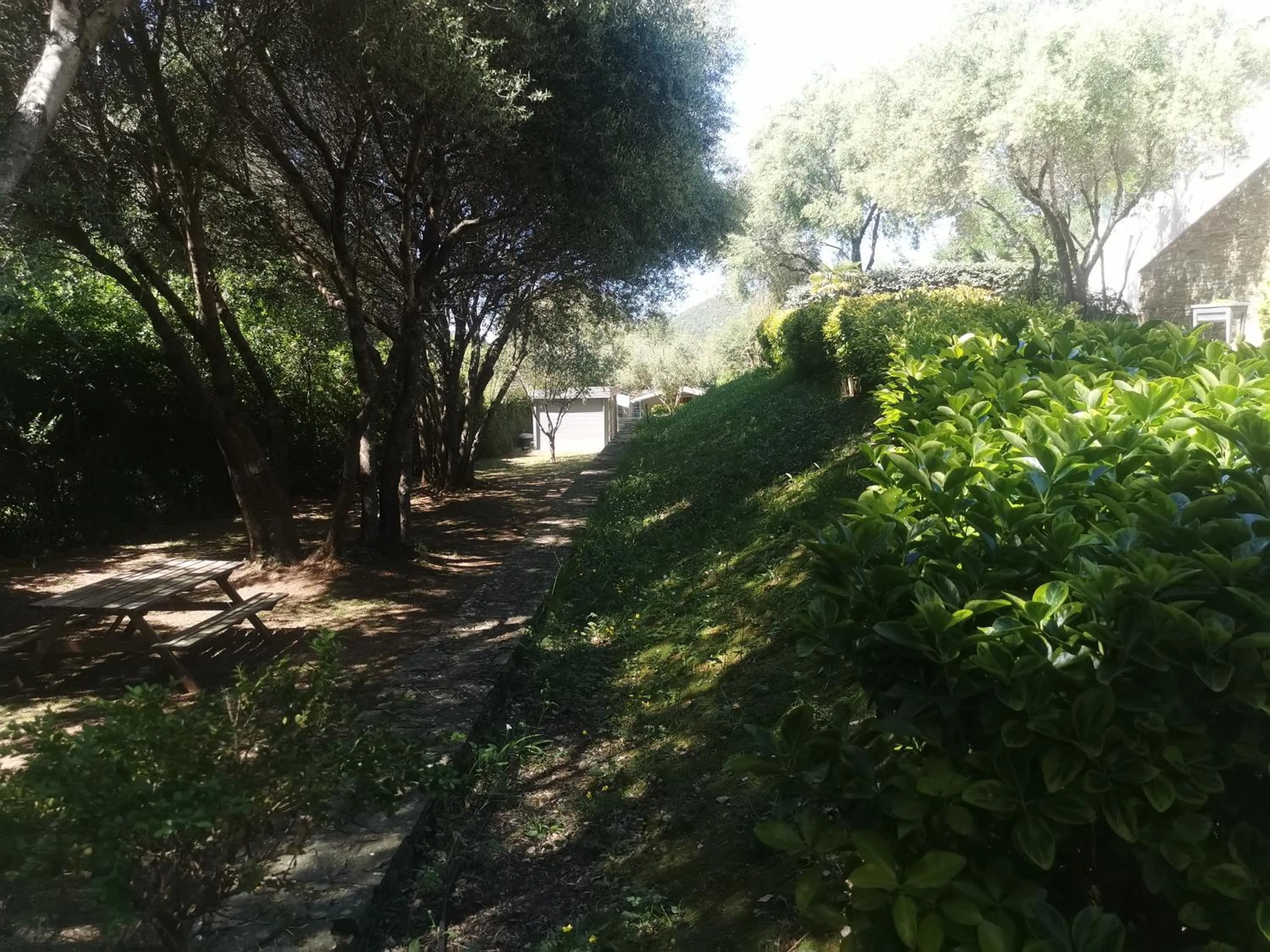 Garden in U Muzzelo