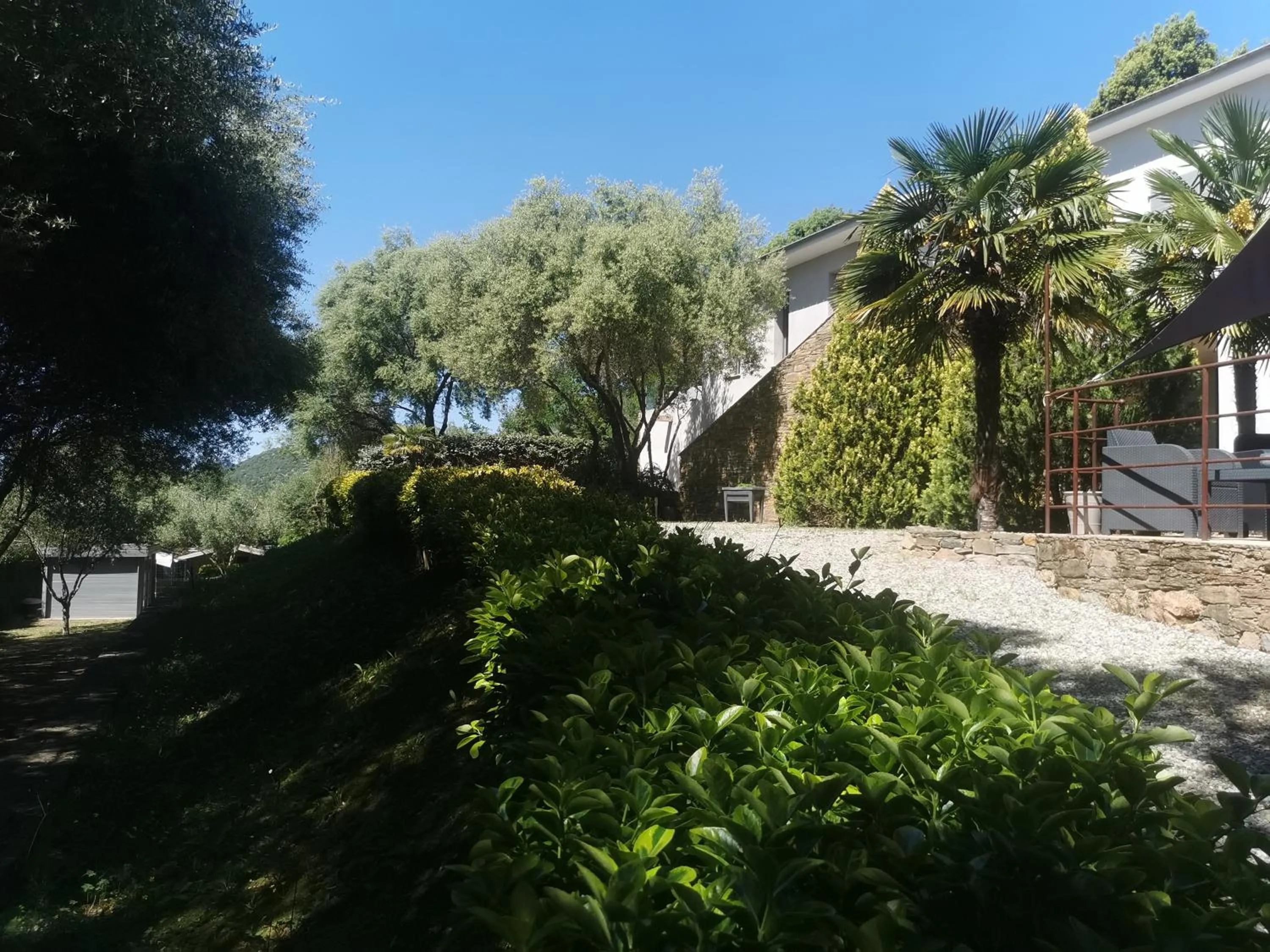 Garden in U Muzzelo