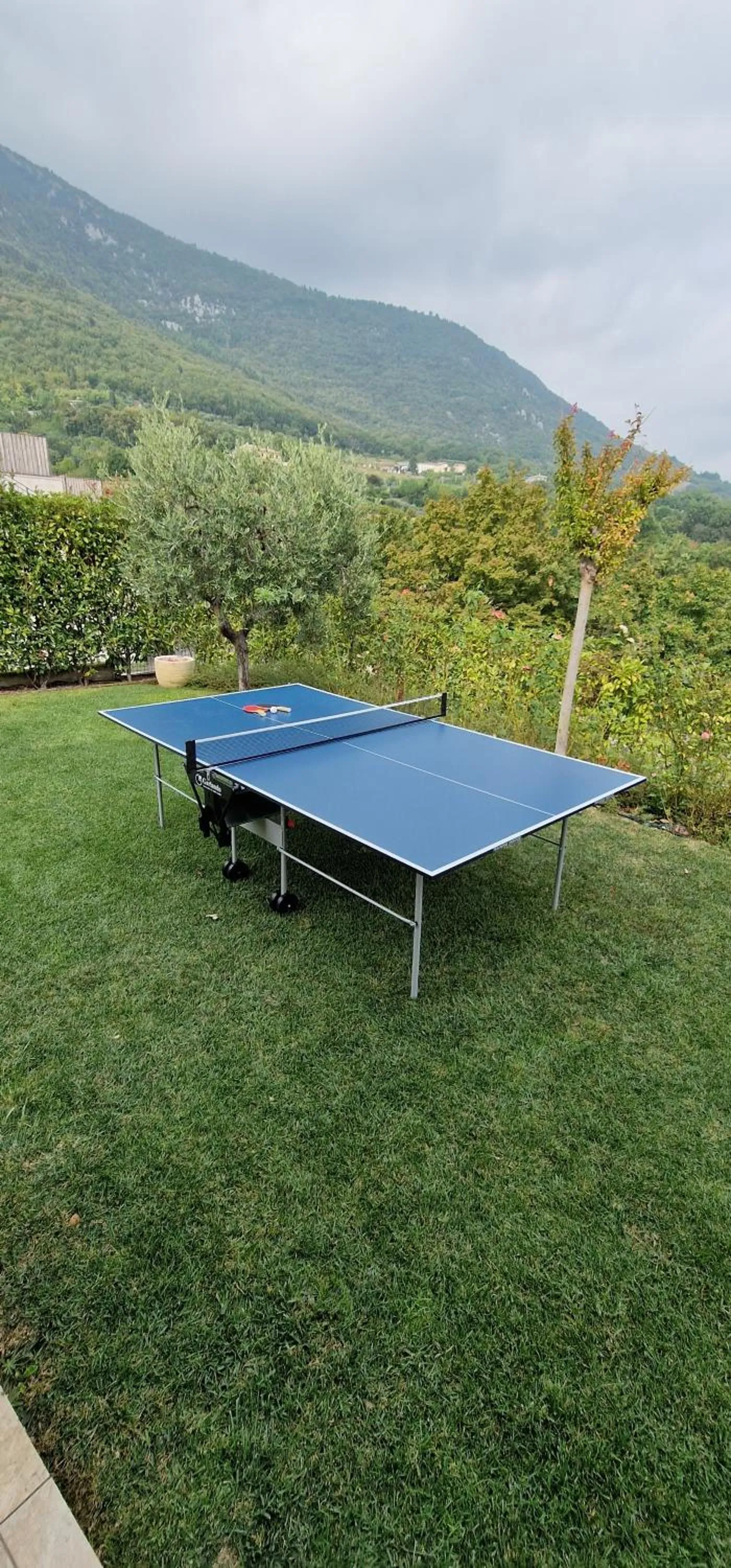 Table tennis in BellaVista