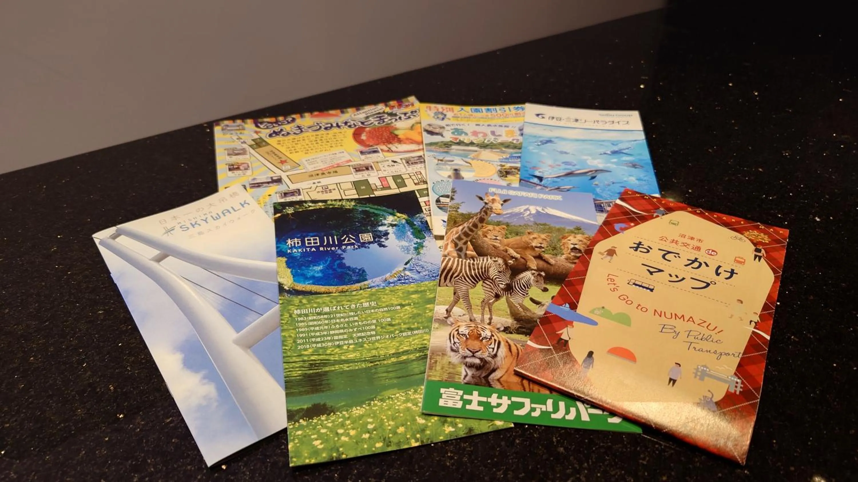 Nearby landmark in Sanco Inn Numazu Ekimae