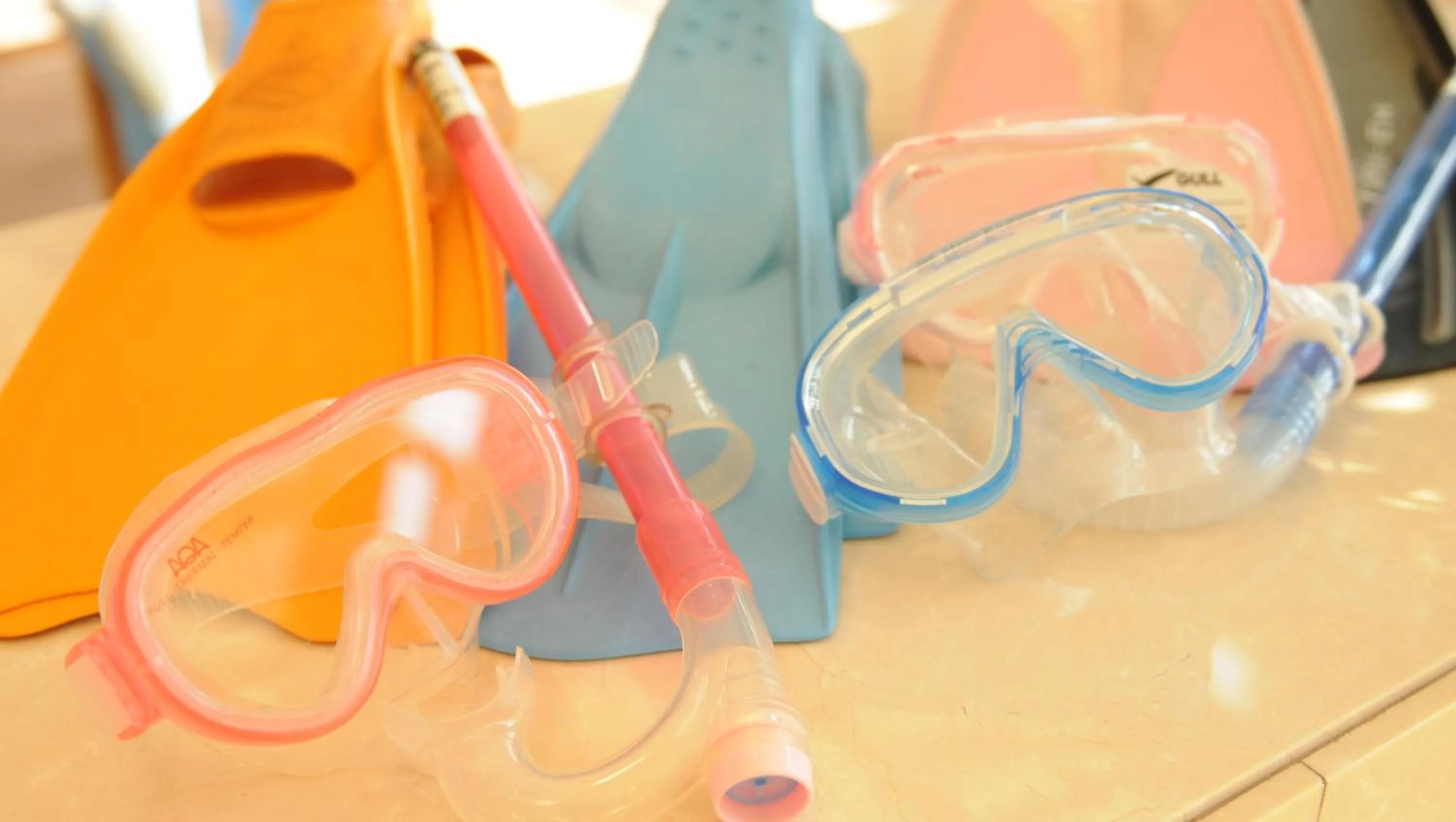 Snorkeling in Nanki-Shirahama Marriott Hotel