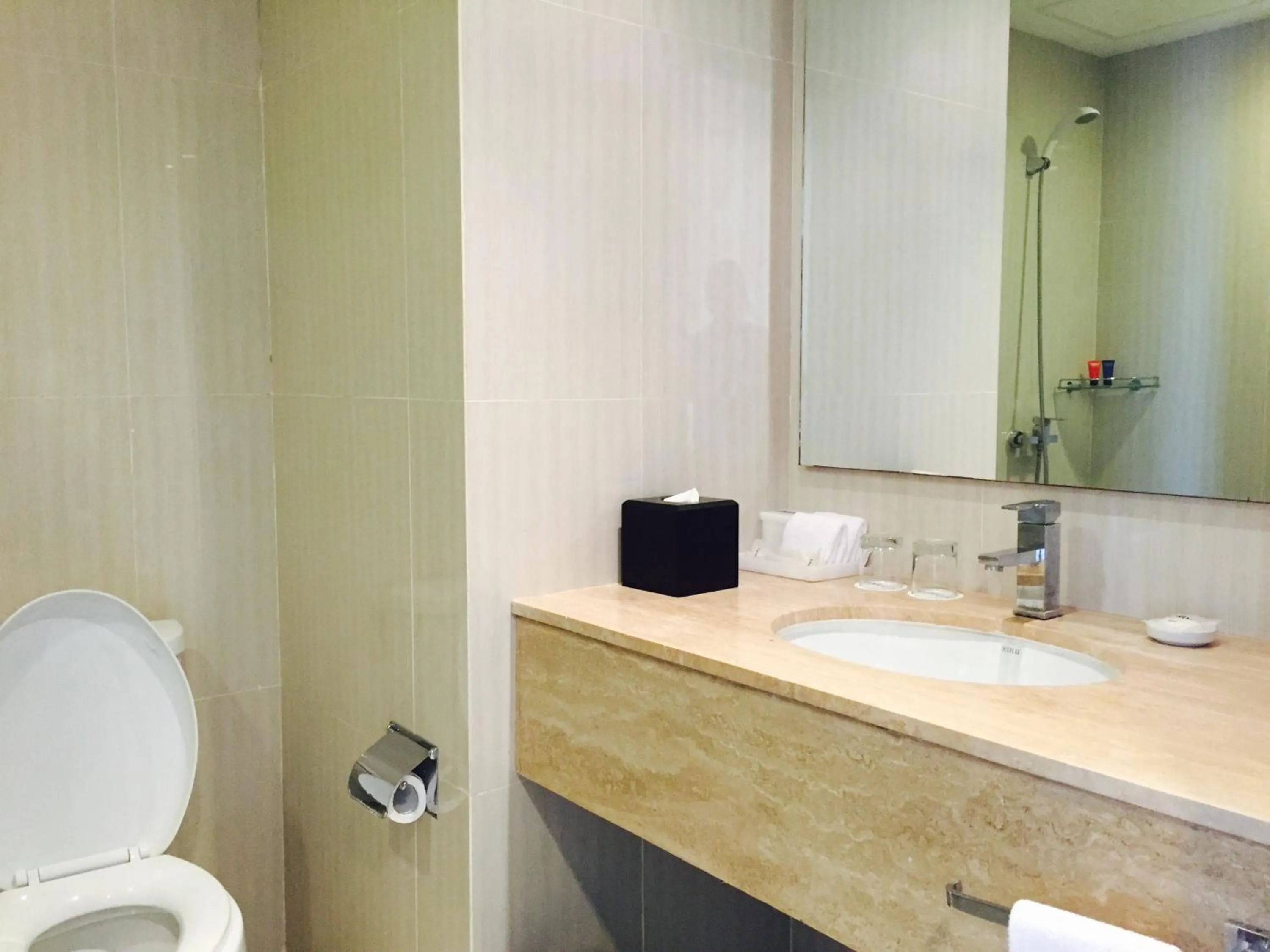 Bathroom in BW Suite Belitung