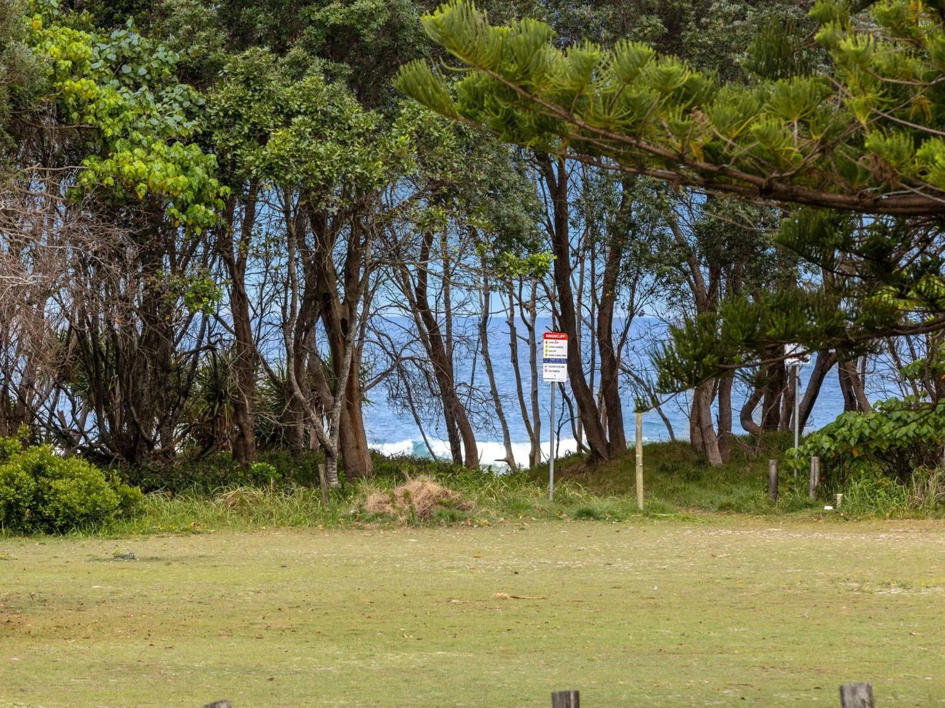 Spring in Salty Kisses on Marine Parade