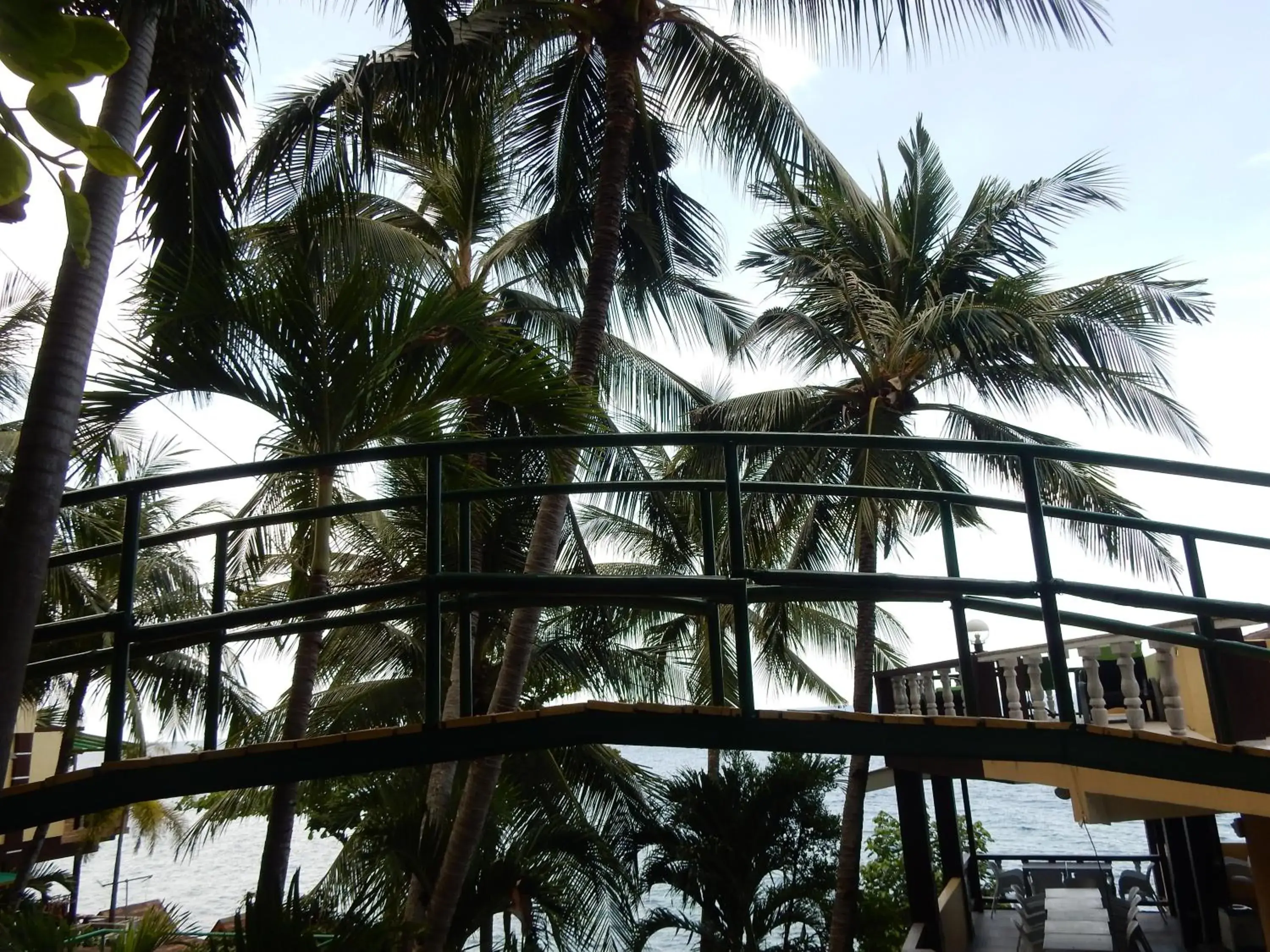 Garden view in Oslob Seafari Resort Garden view in Oslob Seafari Resort