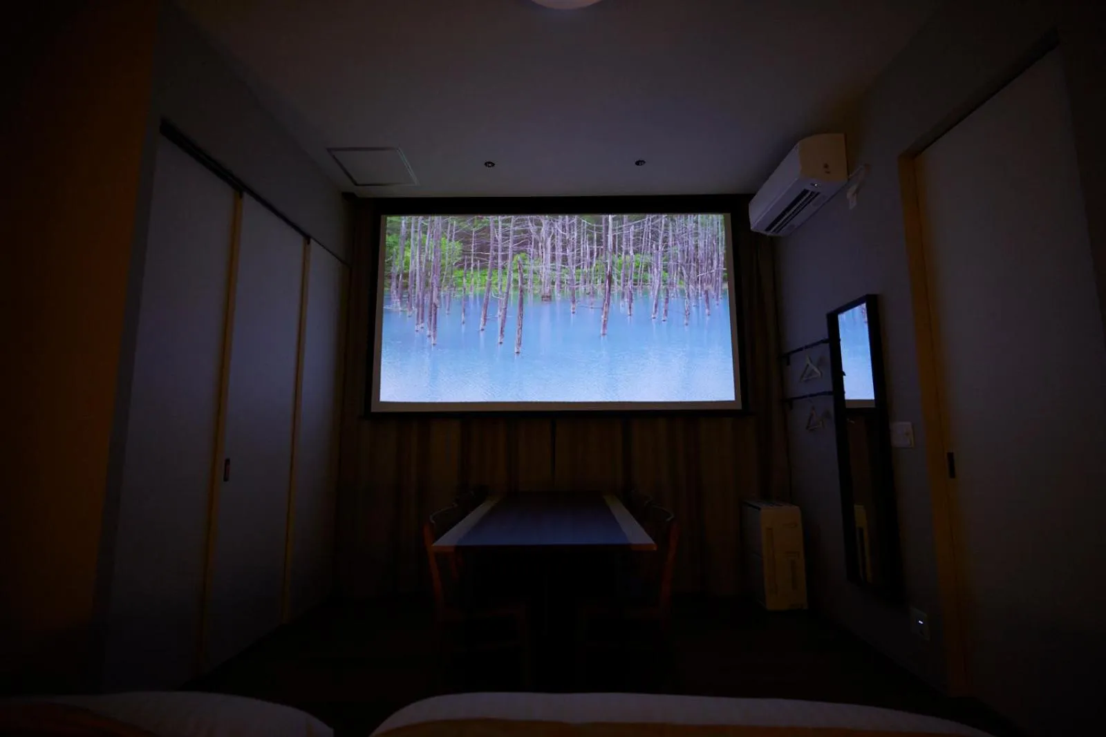 TV and multimedia, Bed in Riverside Hotel Sapporo