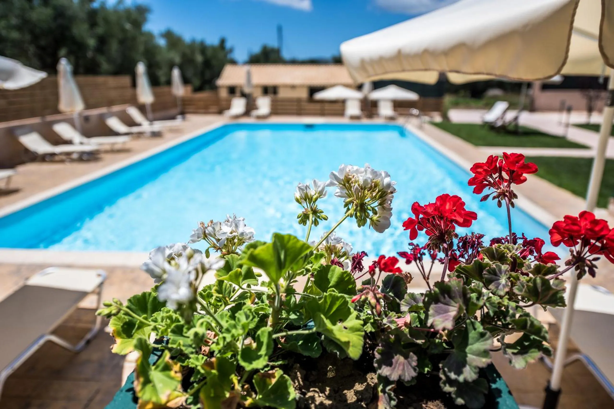 Dolce Vita Residence
