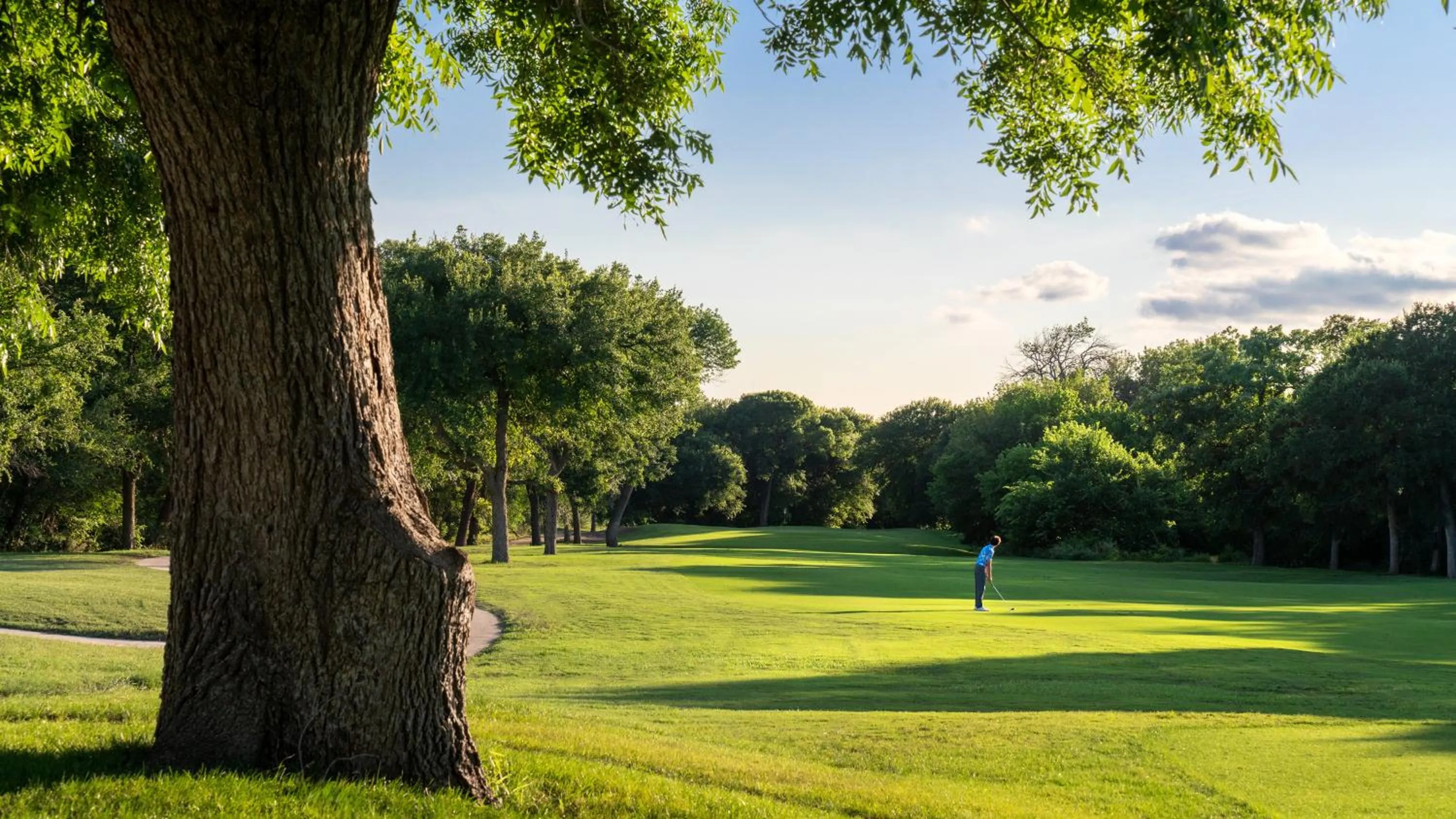 Natural landscape in Dallas/Fort Worth Marriott Hotel & Golf Club at Champions Circle