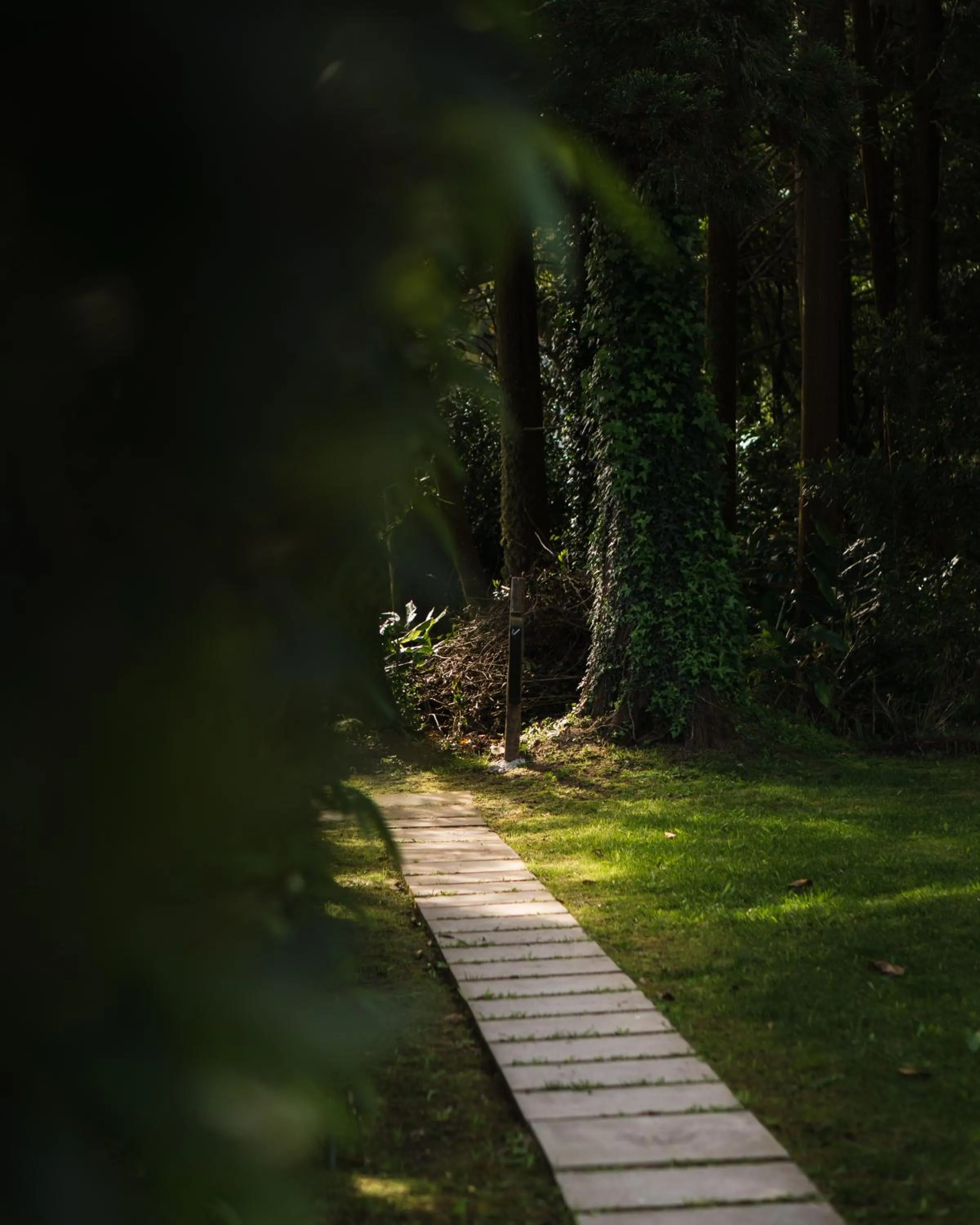 Garden in Landescape Furnas