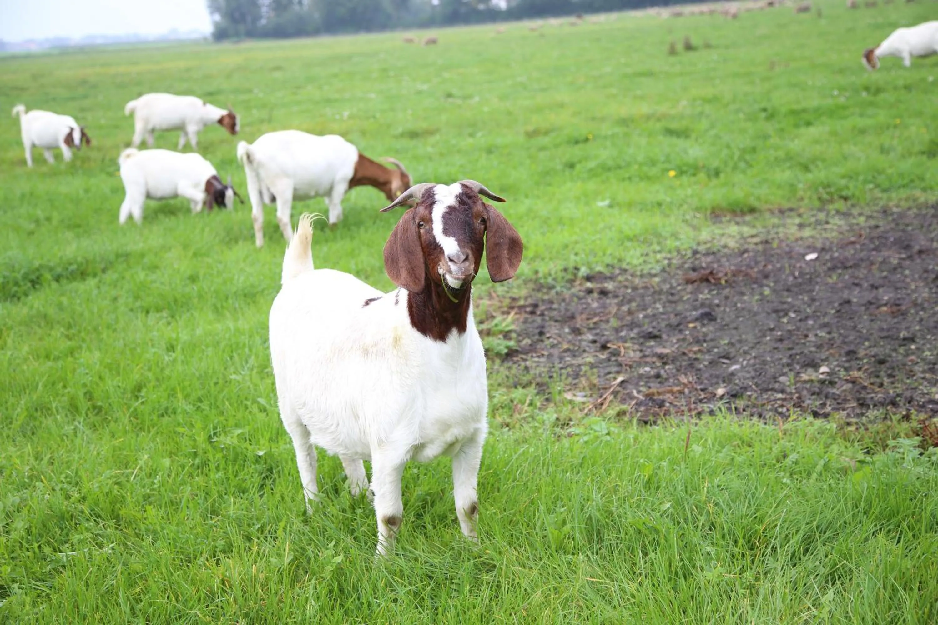 On site in Das Quartier