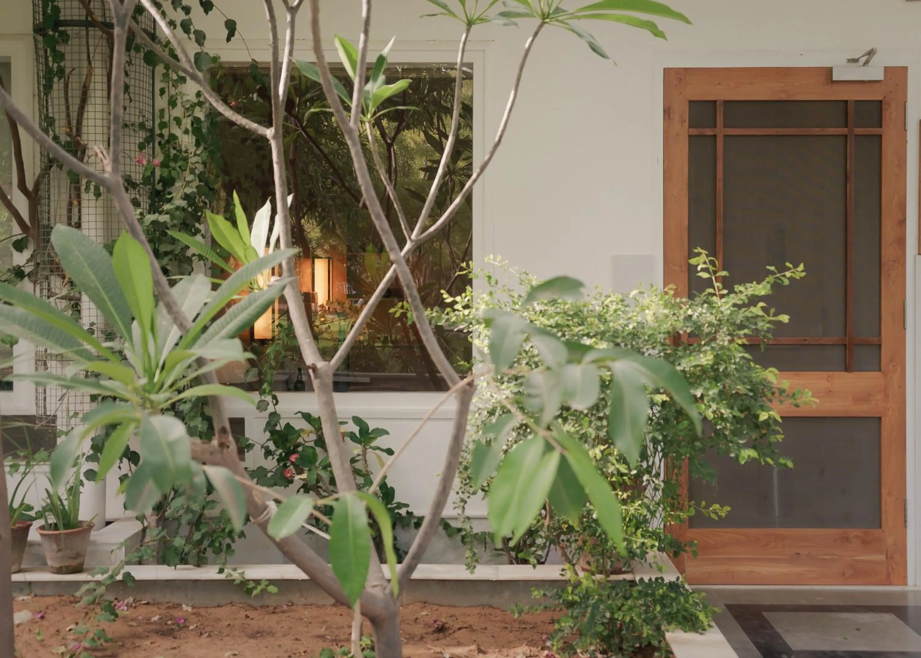 Facade/entrance in PushkarOrganic - Lux farm resort with pool