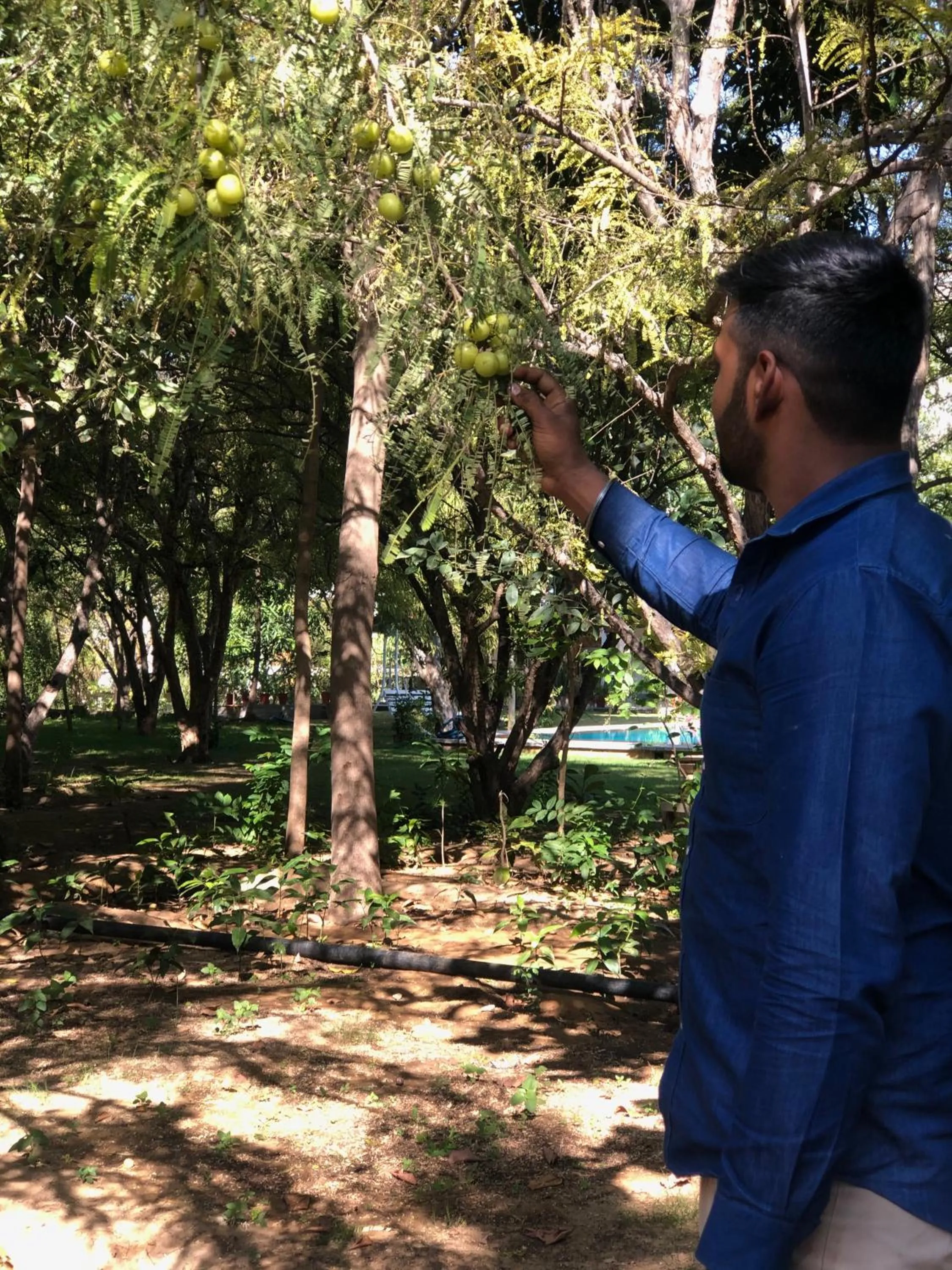 Staff in PushkarOrganic - Lux farm resort with pool