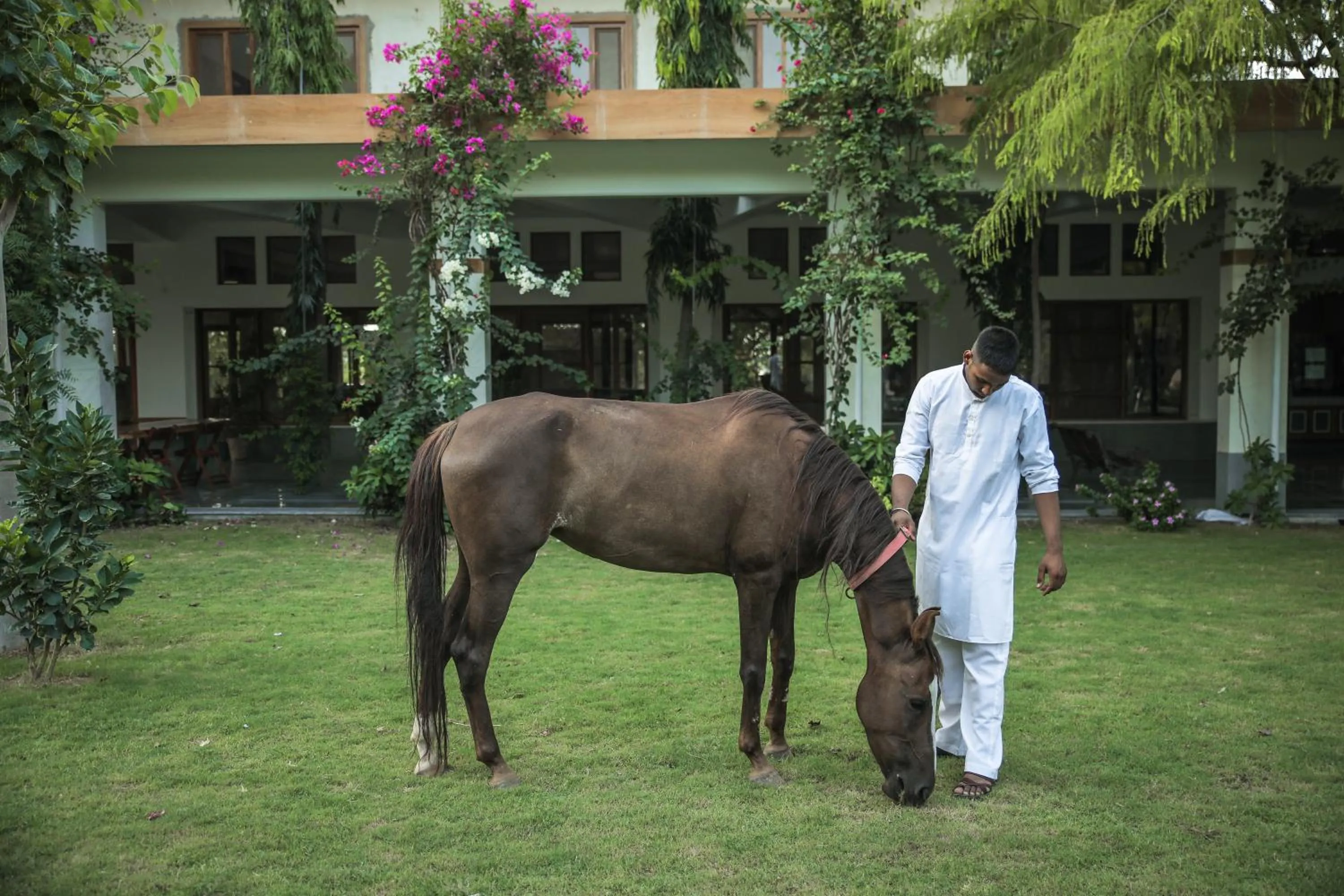 Garden in PushkarOrganic - Lux farm resort with pool
