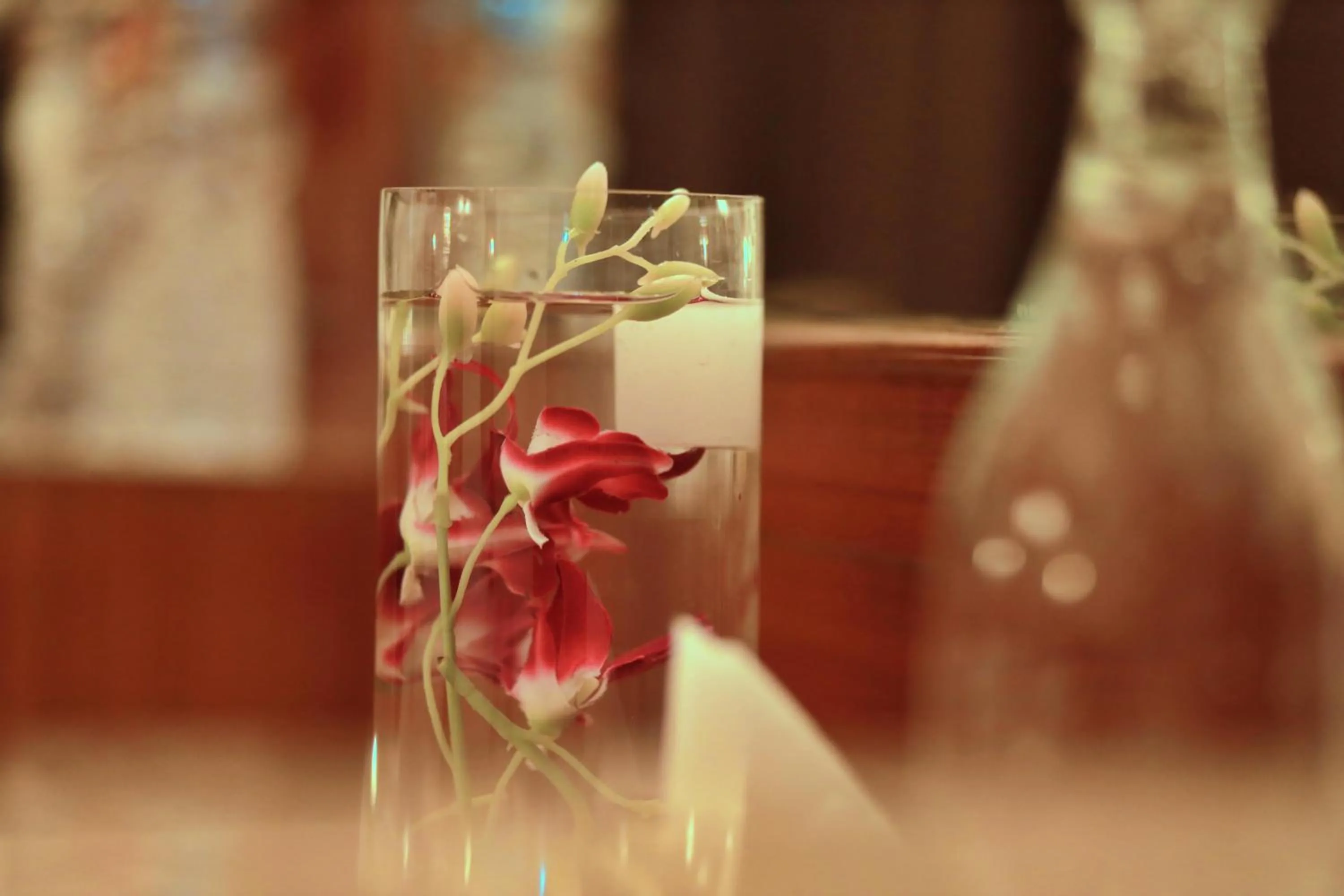 Drinks in Hotel Edassery Mansion