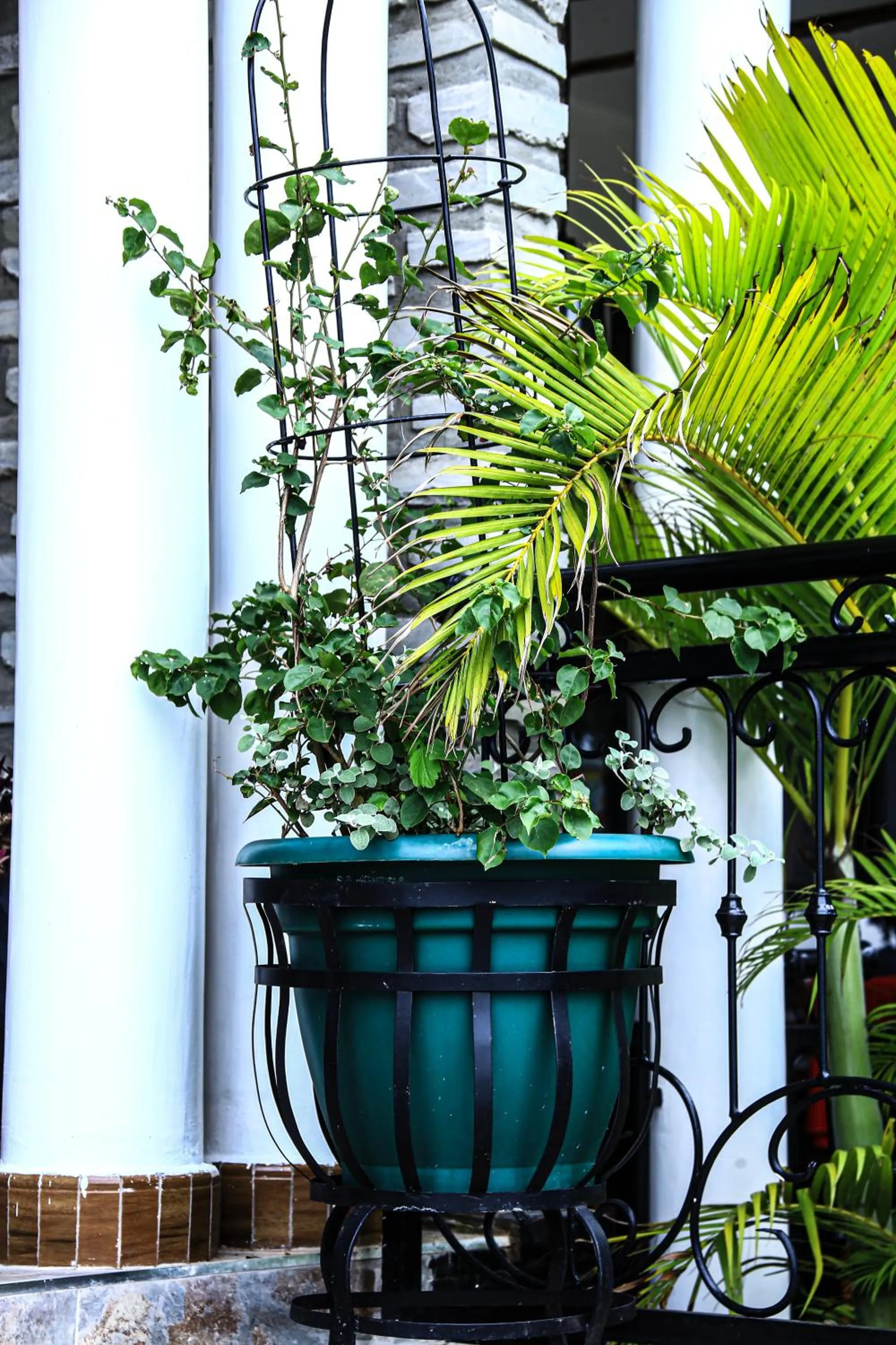 Balcony/Terrace in Home Bliss Hotel- Fort portal Uganda