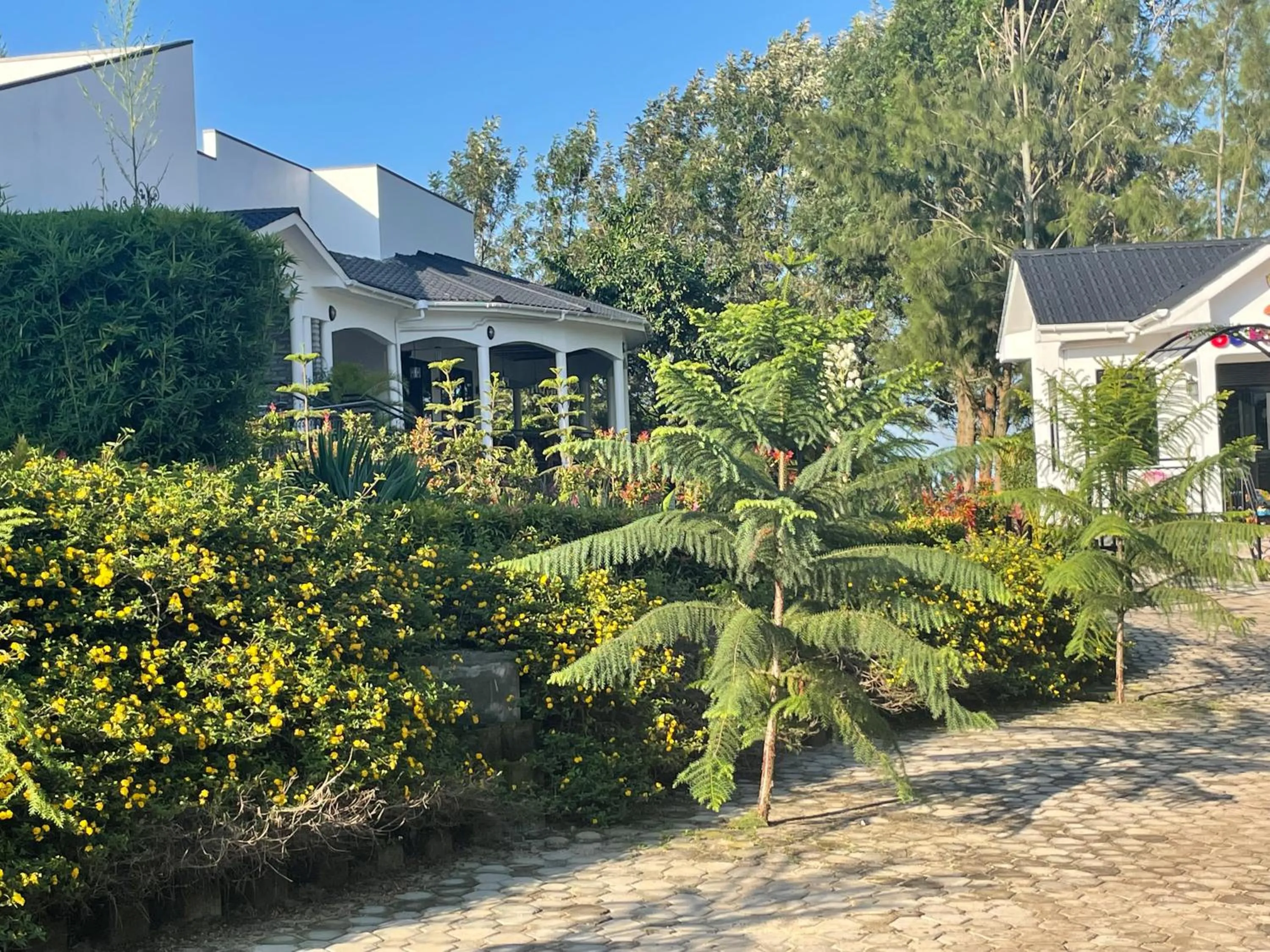 Property building in Home Bliss Hotel- Fort portal Uganda