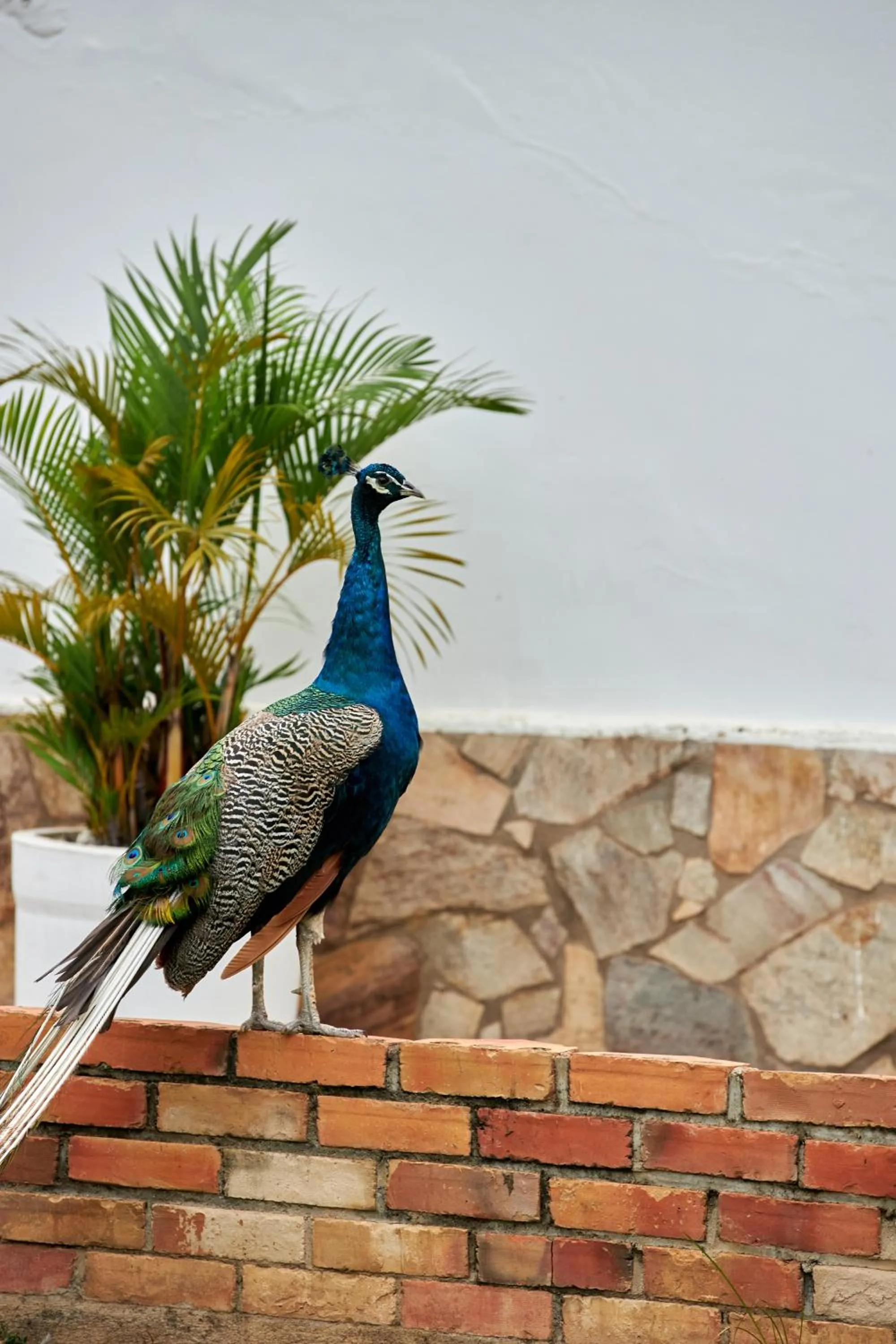 The Haven Boutique Hotel