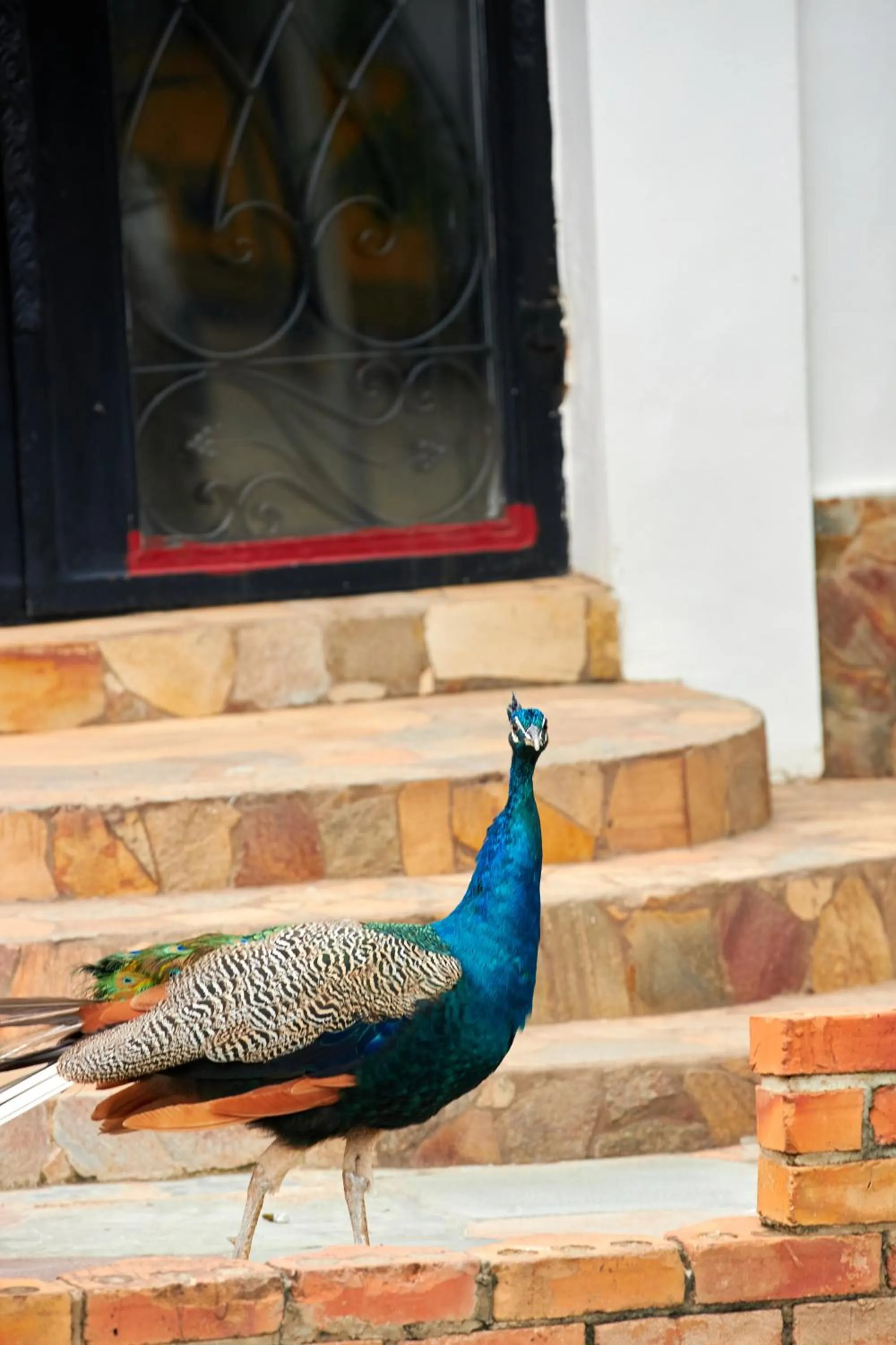 The Haven Boutique Hotel