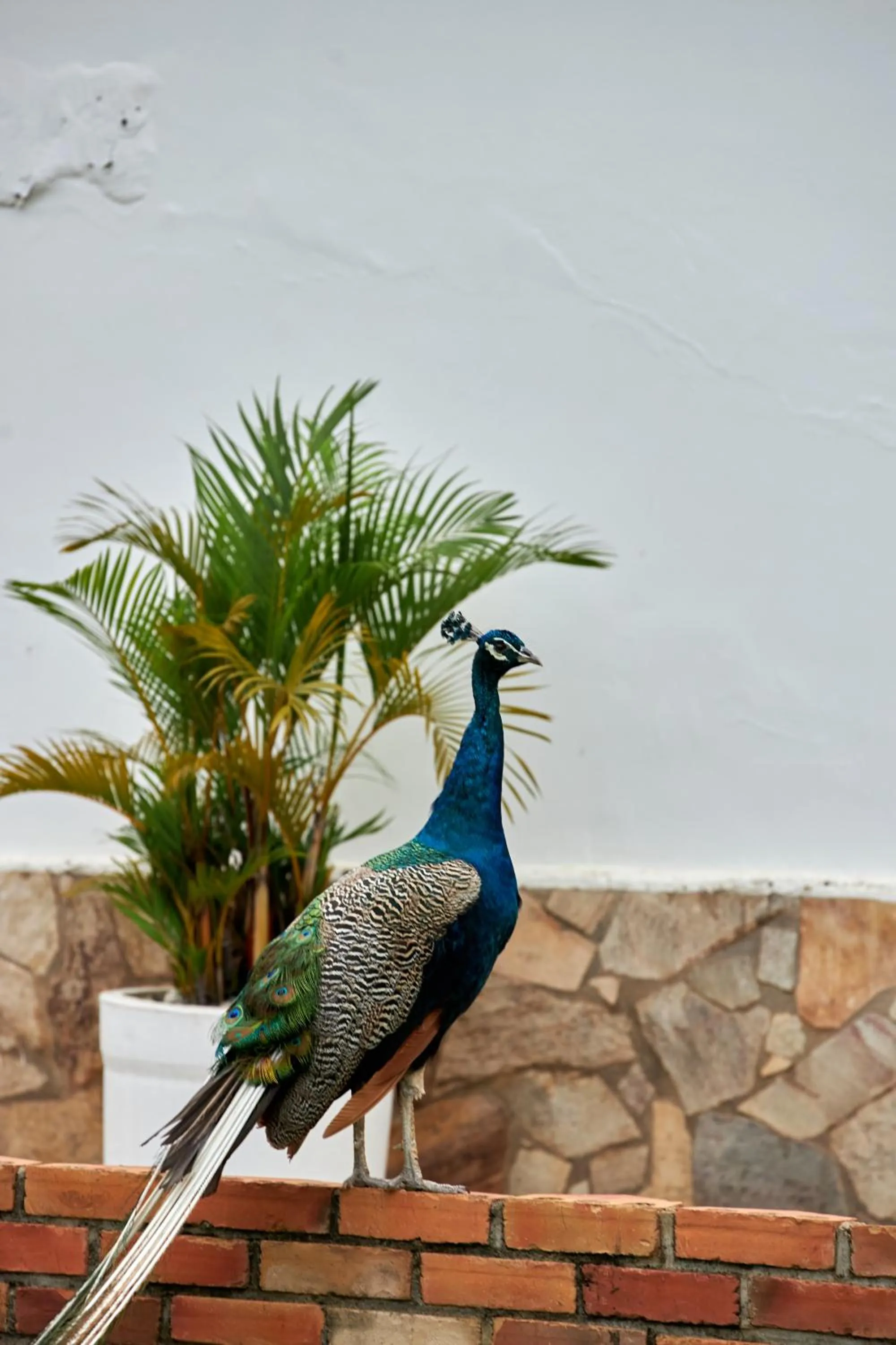 The Haven Boutique Hotel