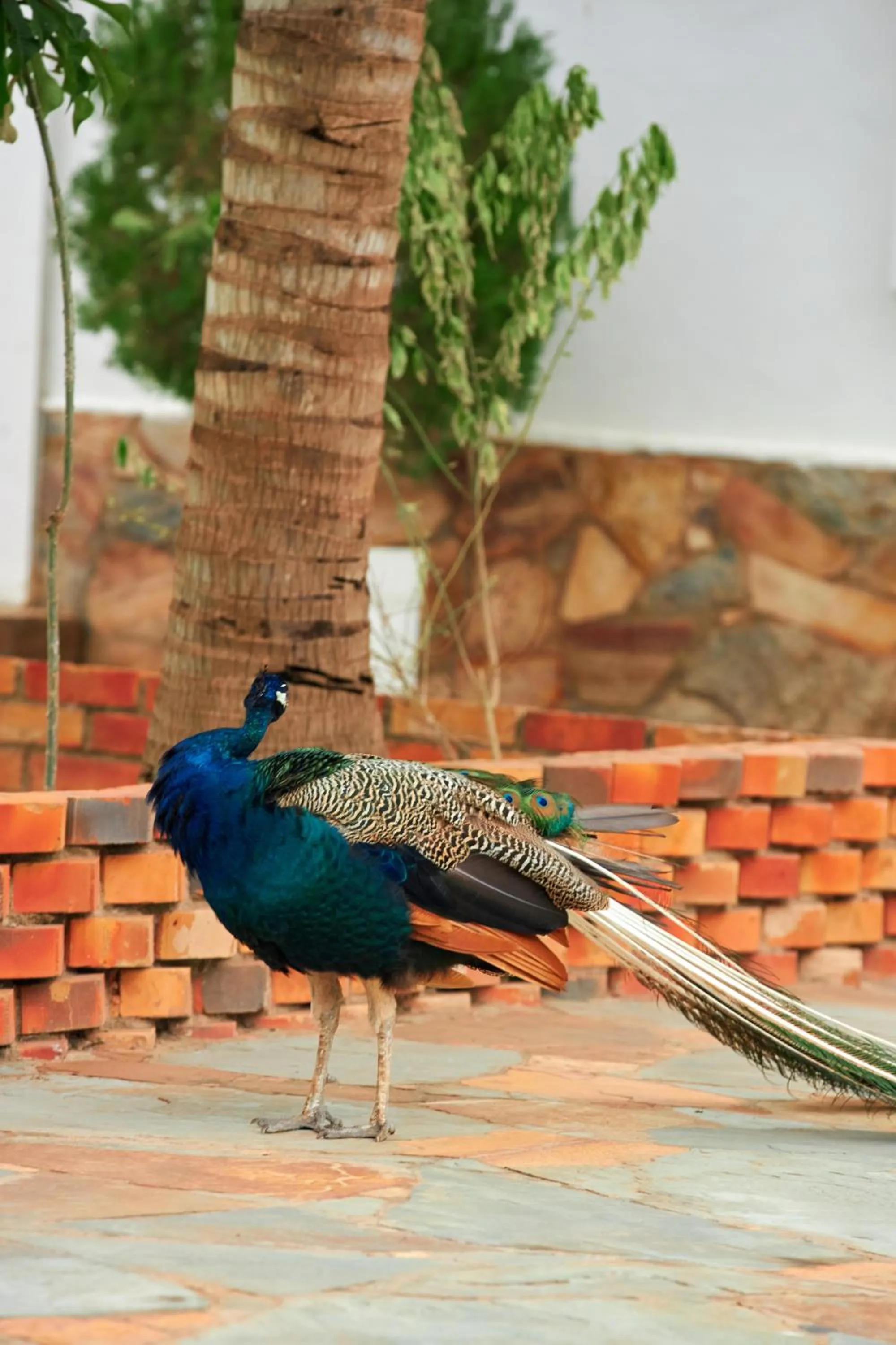 The Haven Boutique Hotel