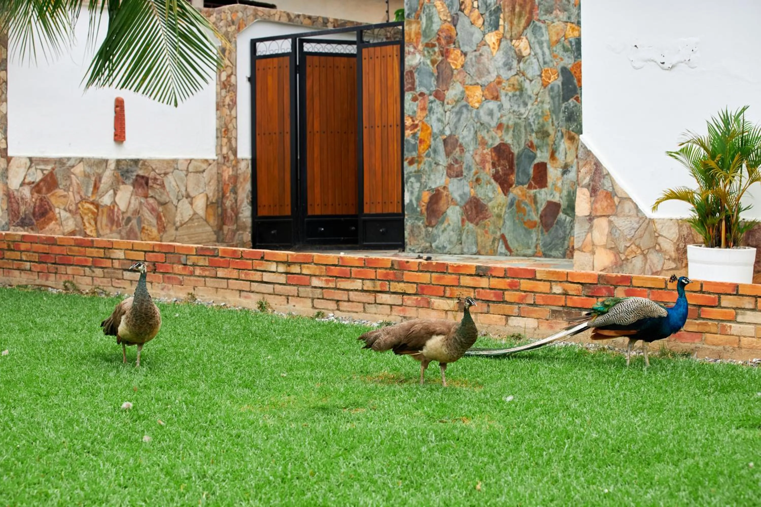 The Haven Boutique Hotel