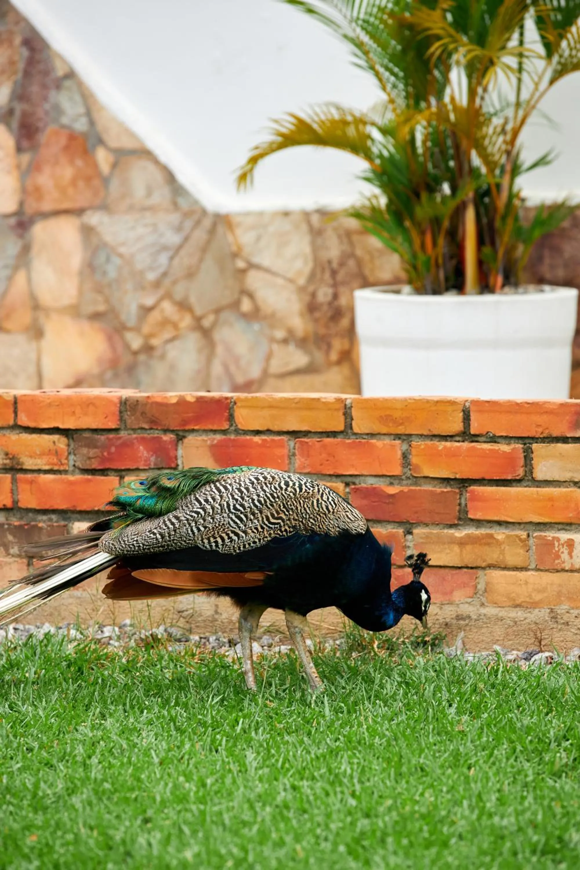 The Haven Boutique Hotel