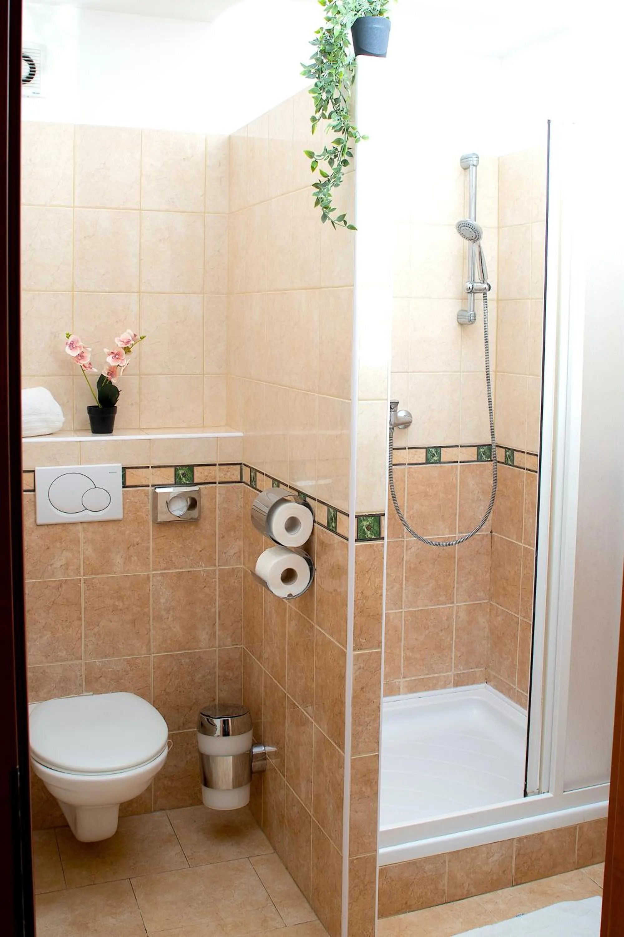 Standard Twin Room - single occupancy in Wellness Hotel Valnovka