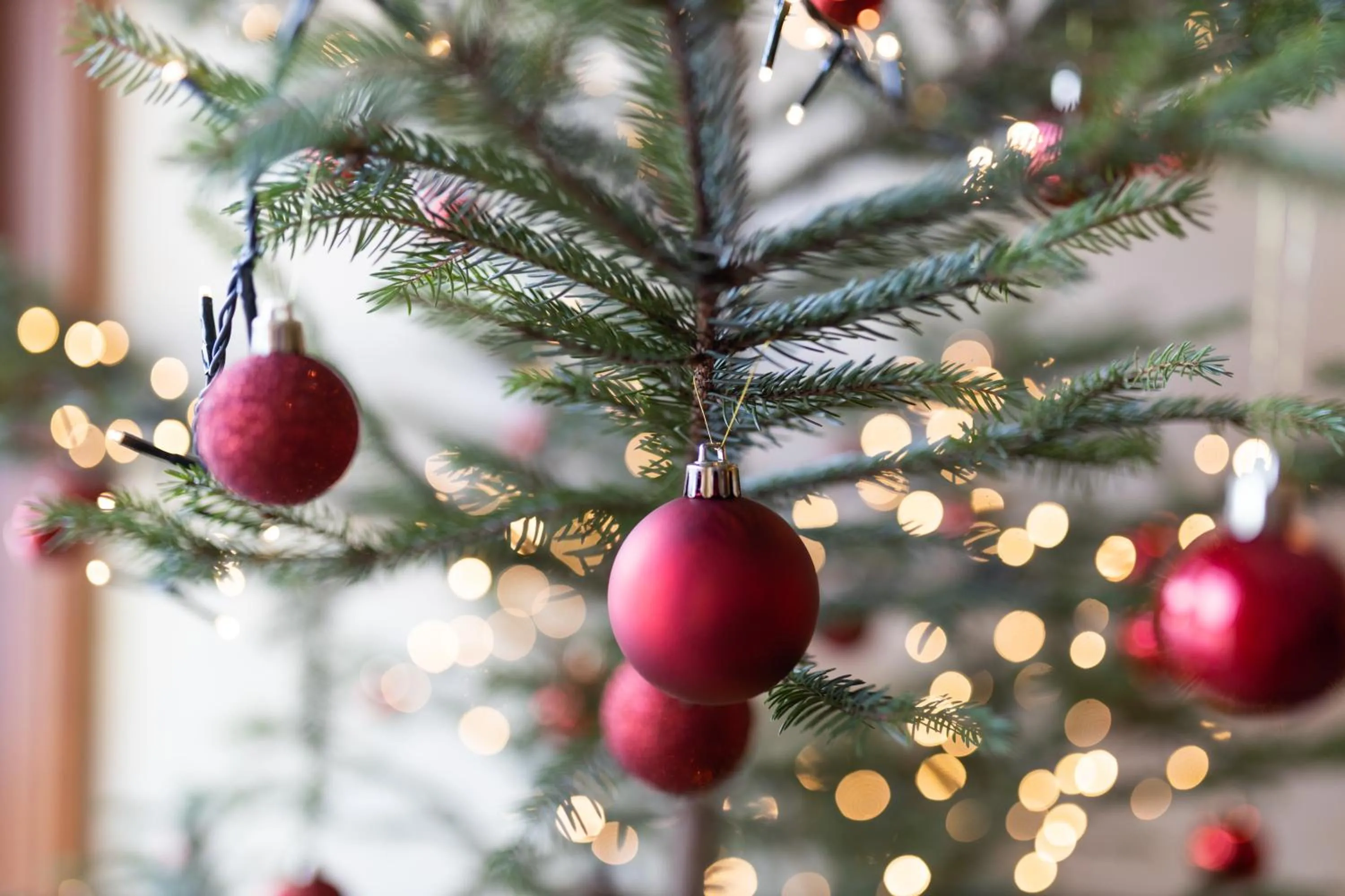 Patio in Hotel Enzo Moro
