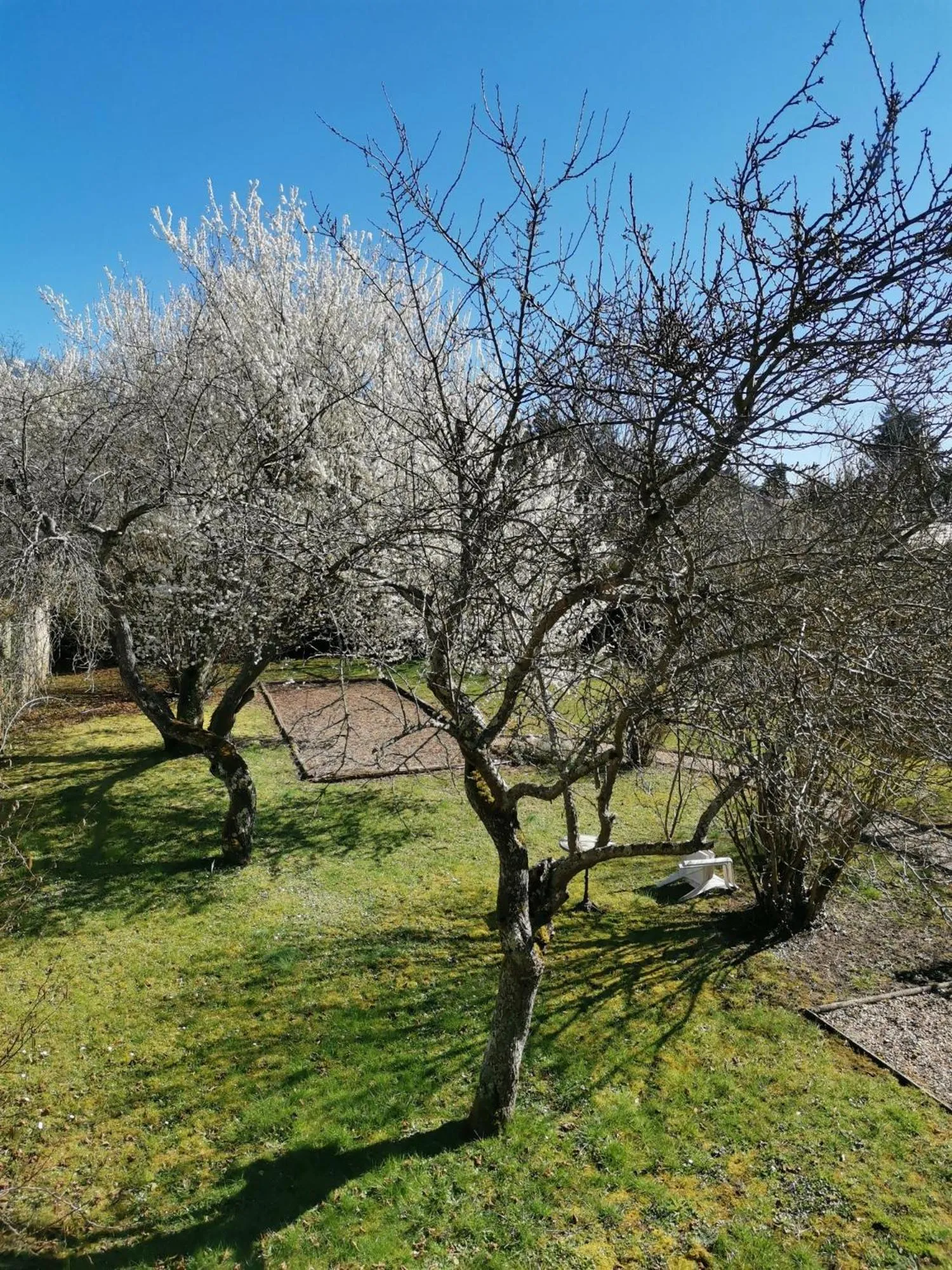 Garden in Logis Hotel Le Cerf