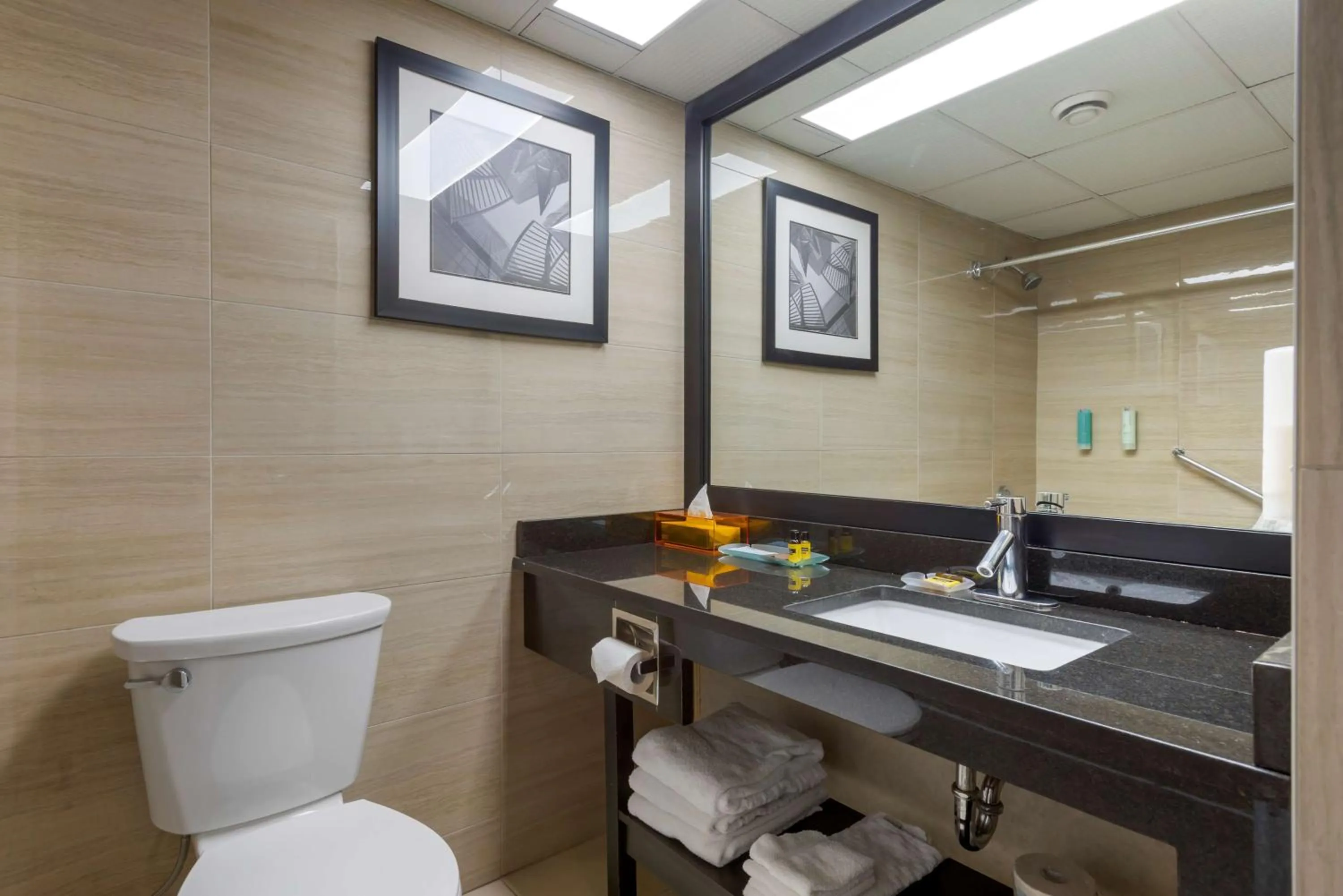 Bathroom in Best Western Plus Village Park Inn