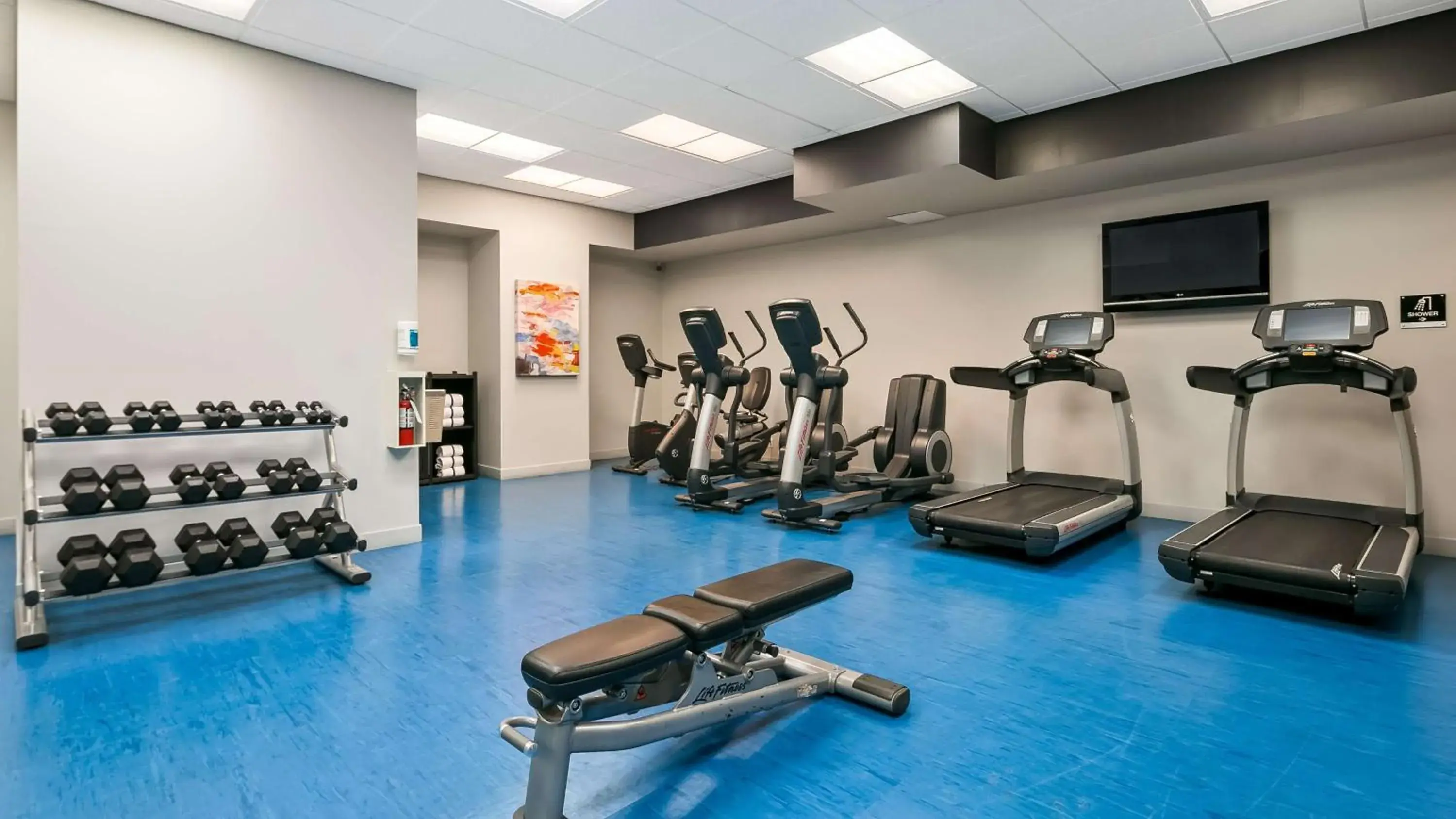 Fitness centre/facilities in Best Western Plus Village Park Inn Fitness centre/facilities in Best Western Plus Village Park Inn