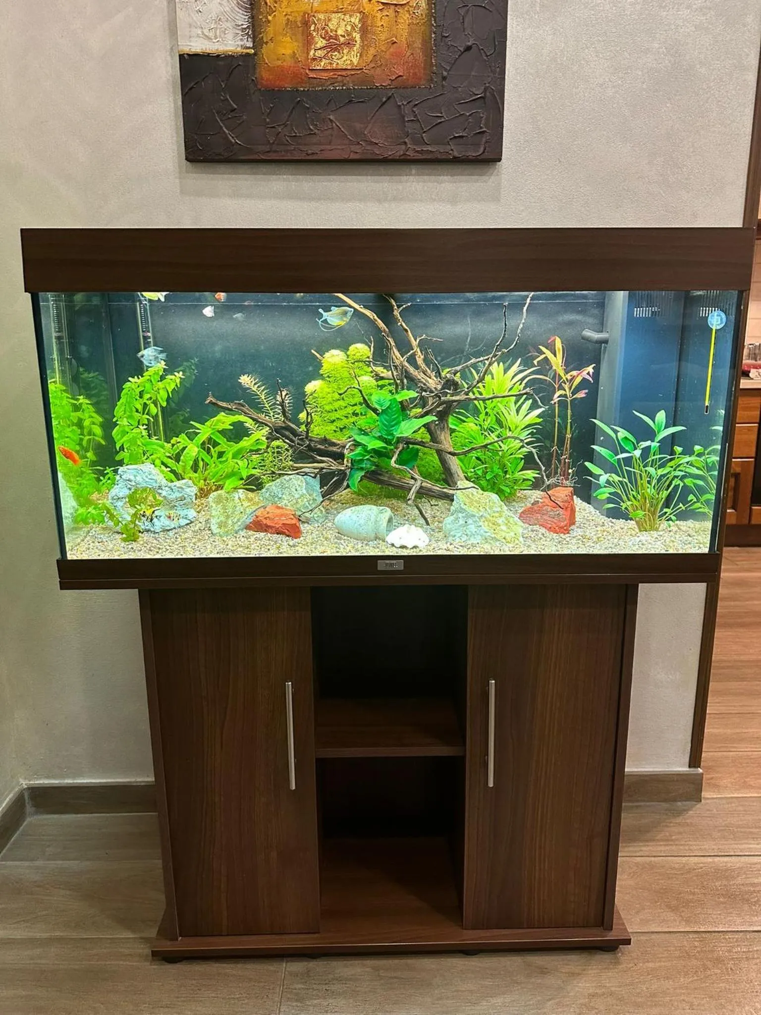 Evening entertainment in B&B Corvara