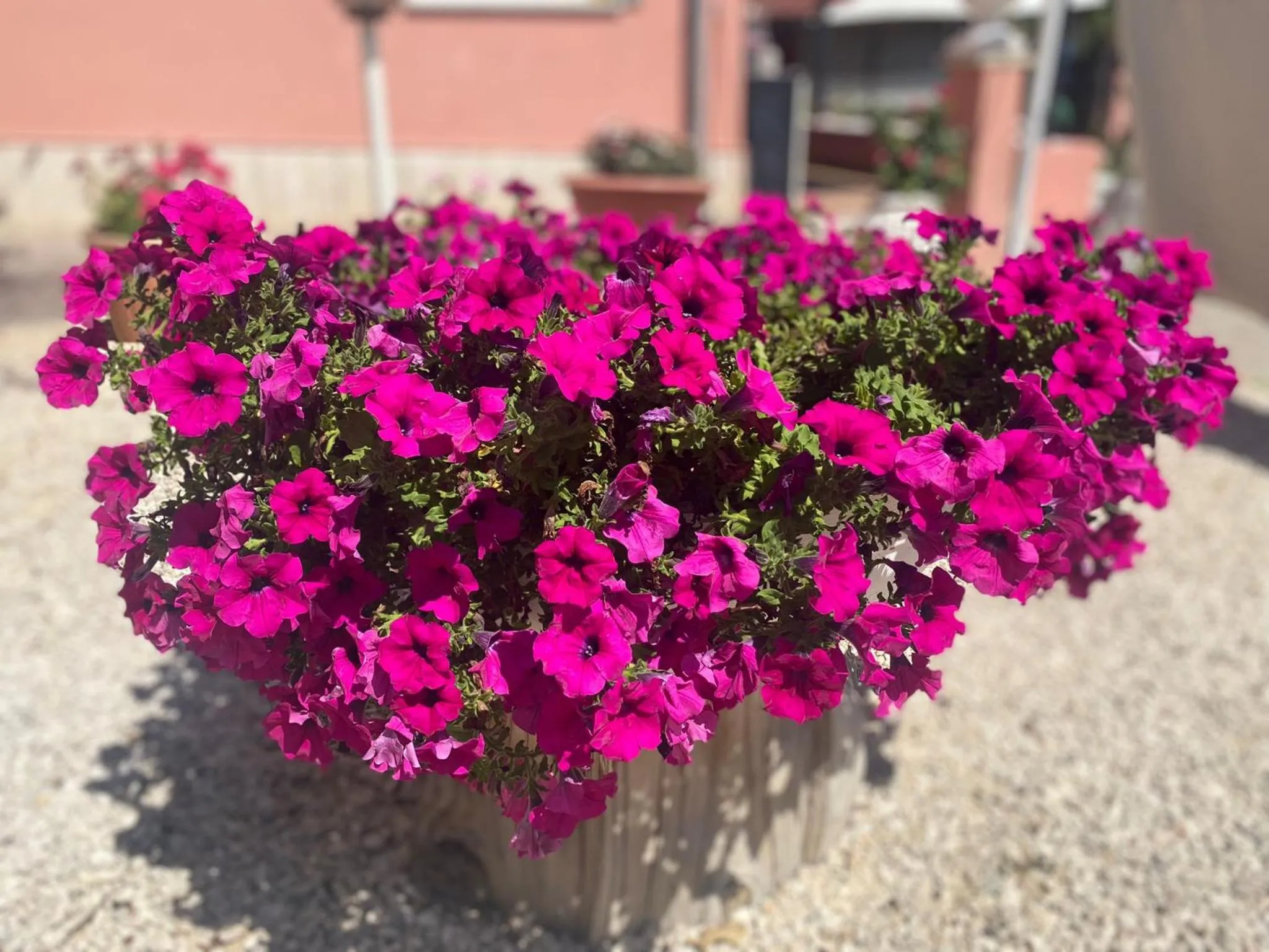 Spring in B&B Corvara