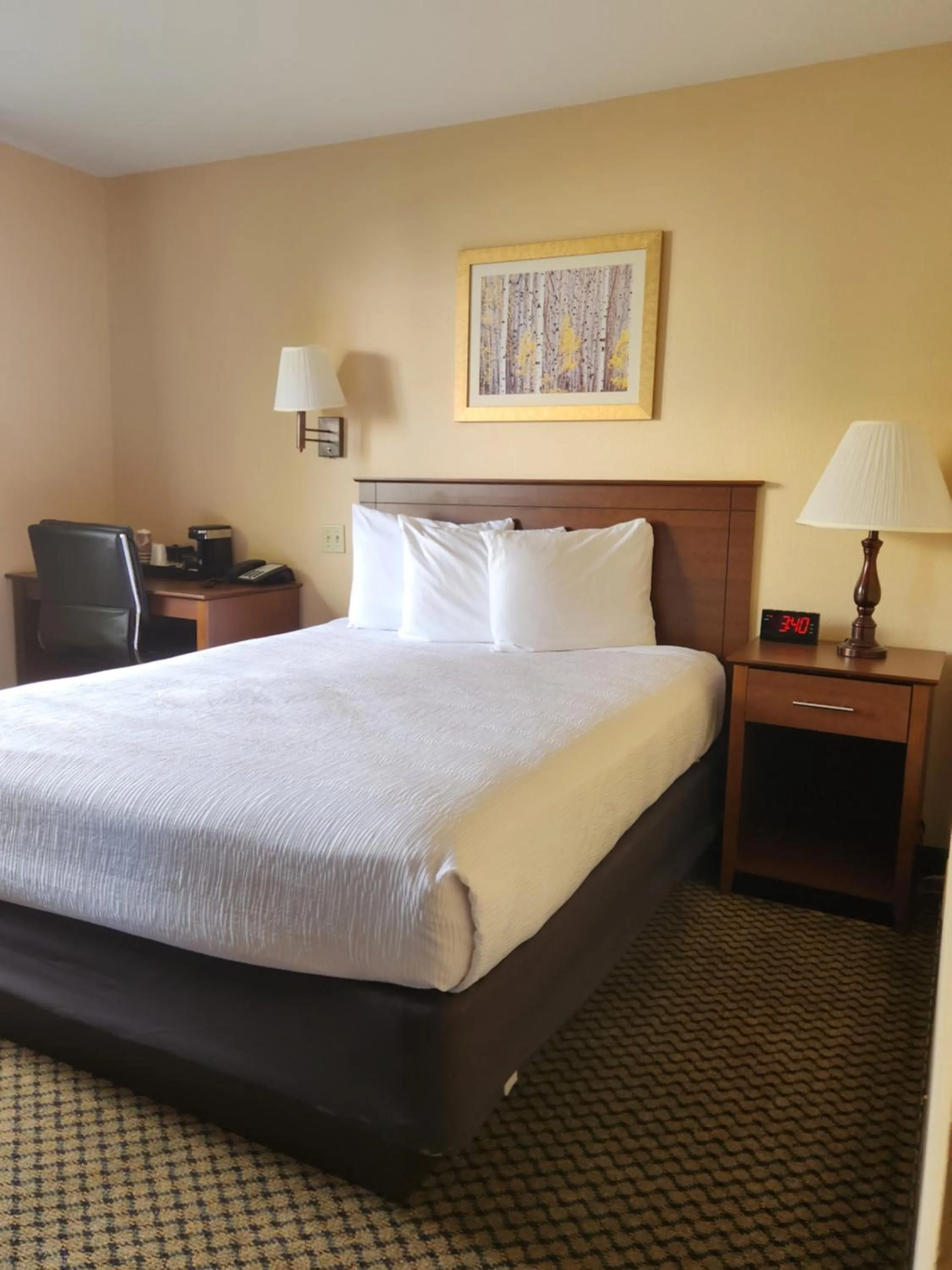 Bed in Luxury Inn & Suites