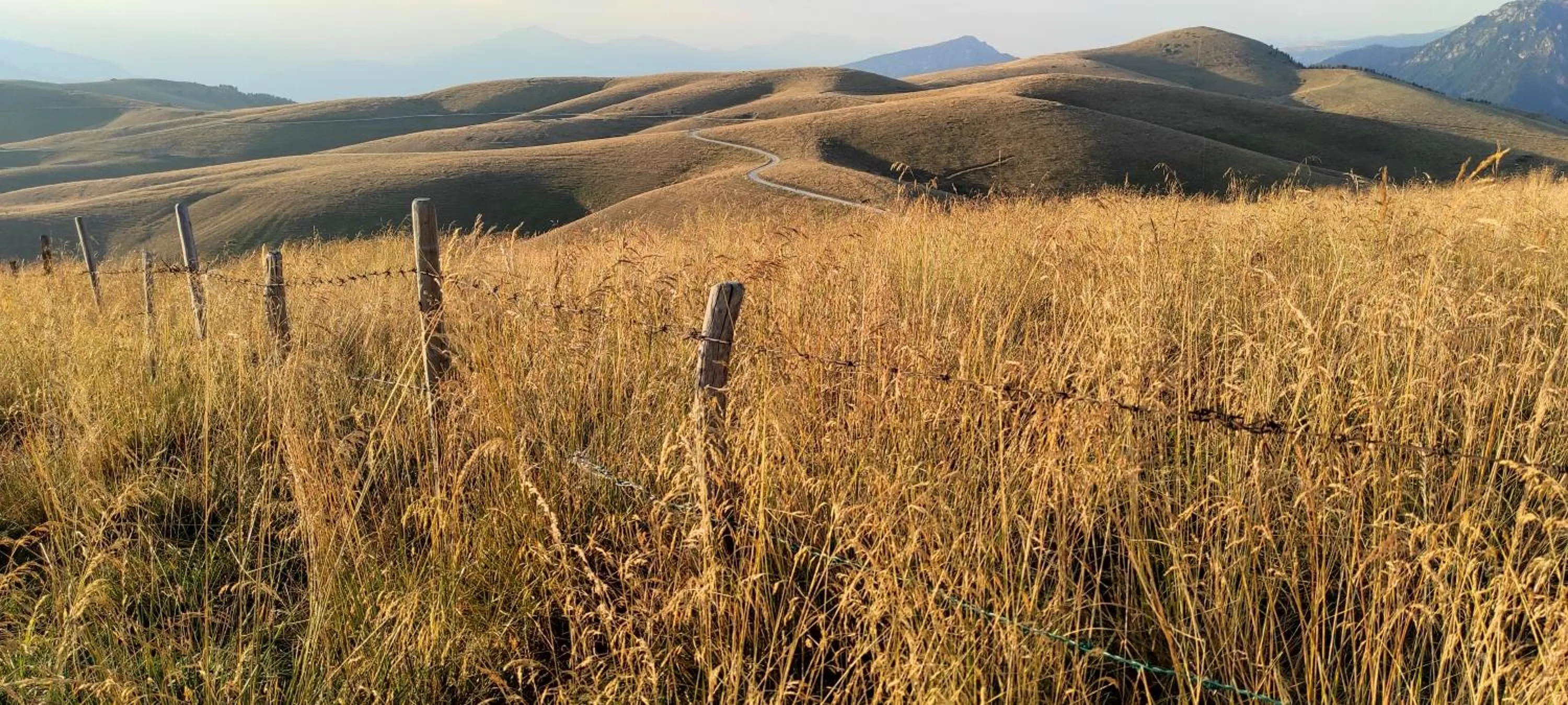 Natural landscape in Malga Laben