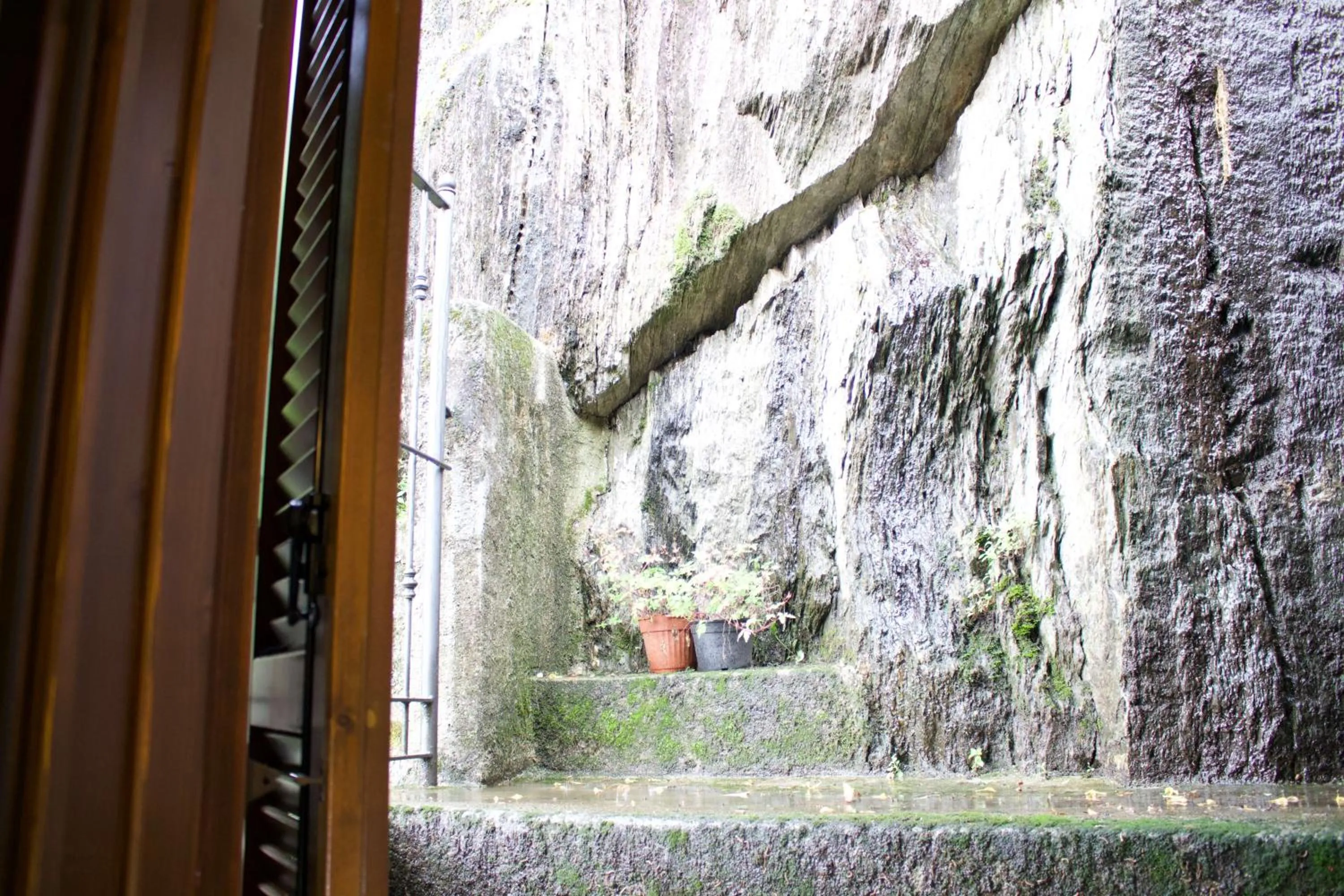 Garden view in La Casa Sul Sasso In town serviced accommodations