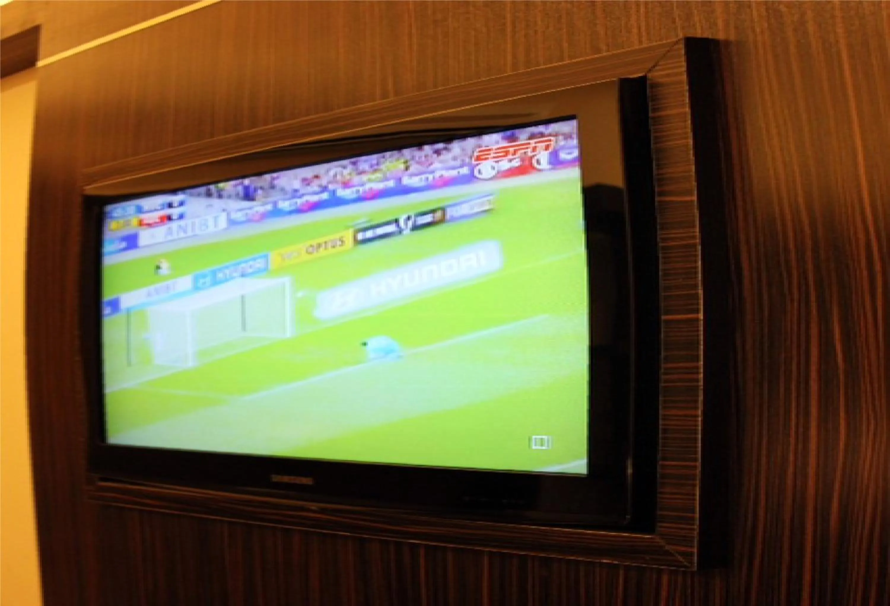 TV and multimedia in GOLDEN PALACE